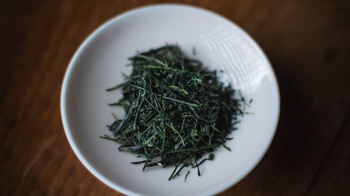 Gyokuro japanischer Schattentee Yame — UNEARTHED Gallery München