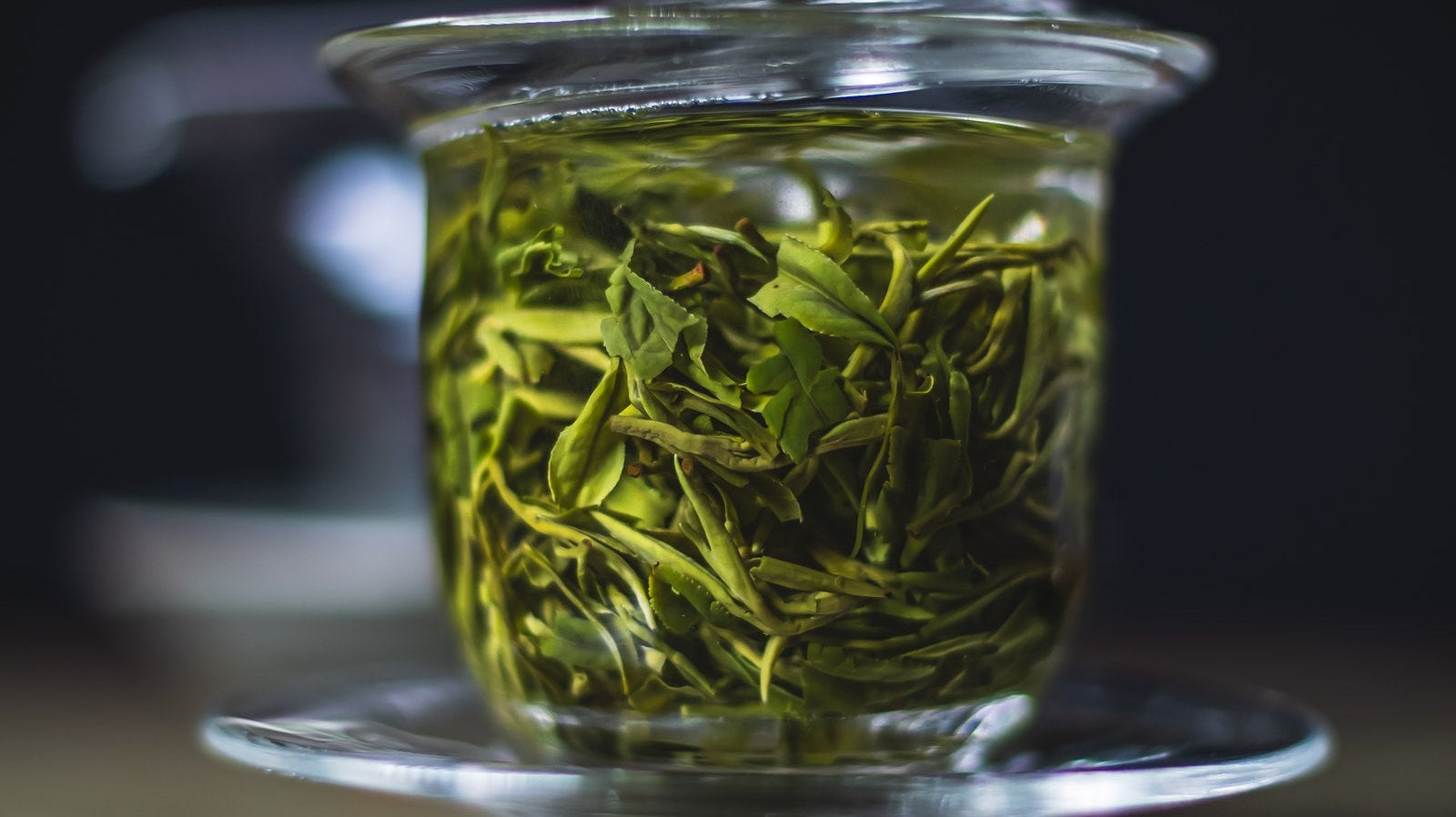 Saemidori green tea leaves unfurling in a glass — UNEARTHED Gallery München