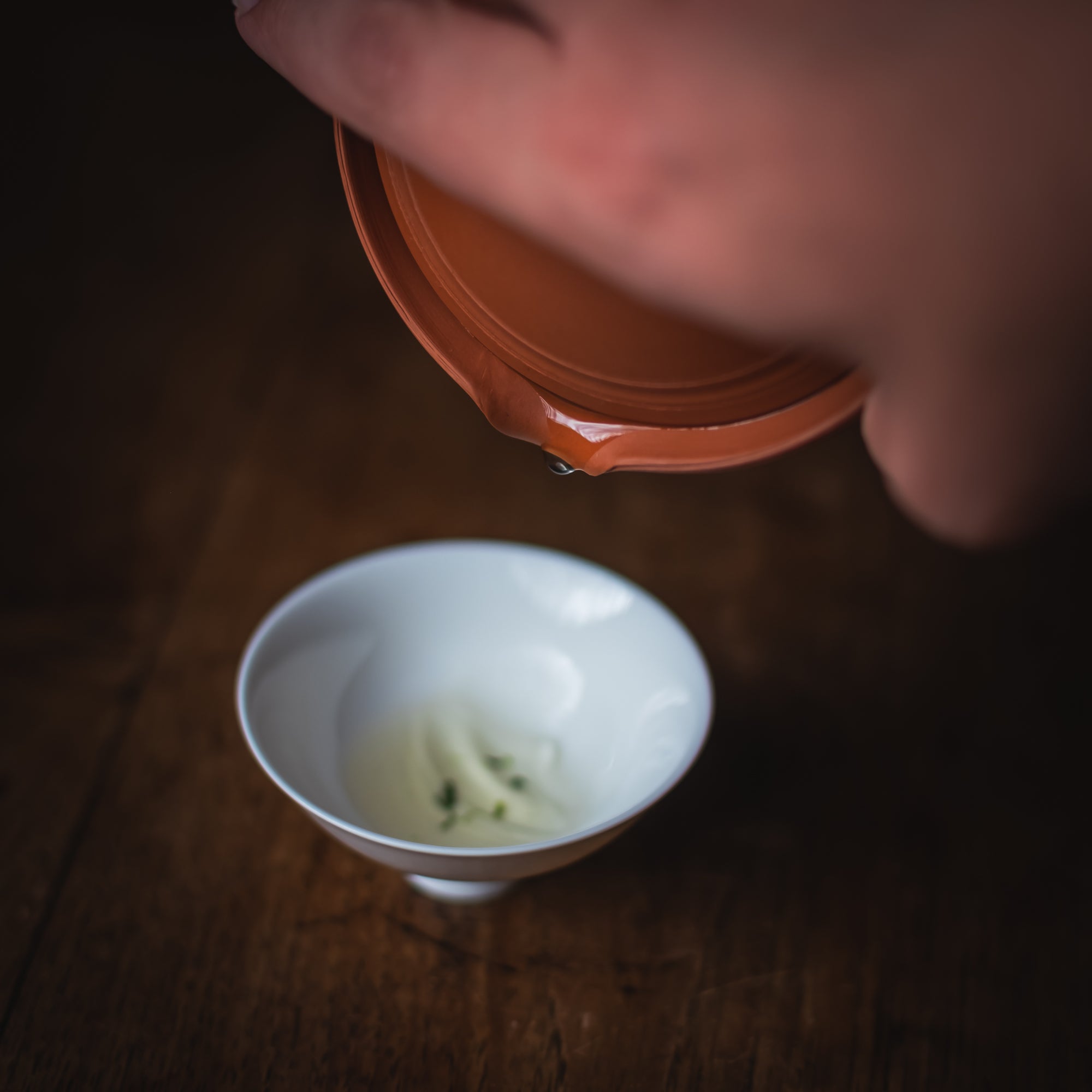 Hoshino Hon Gyokuro Saemidori (30g) – Green Tea (view 6)