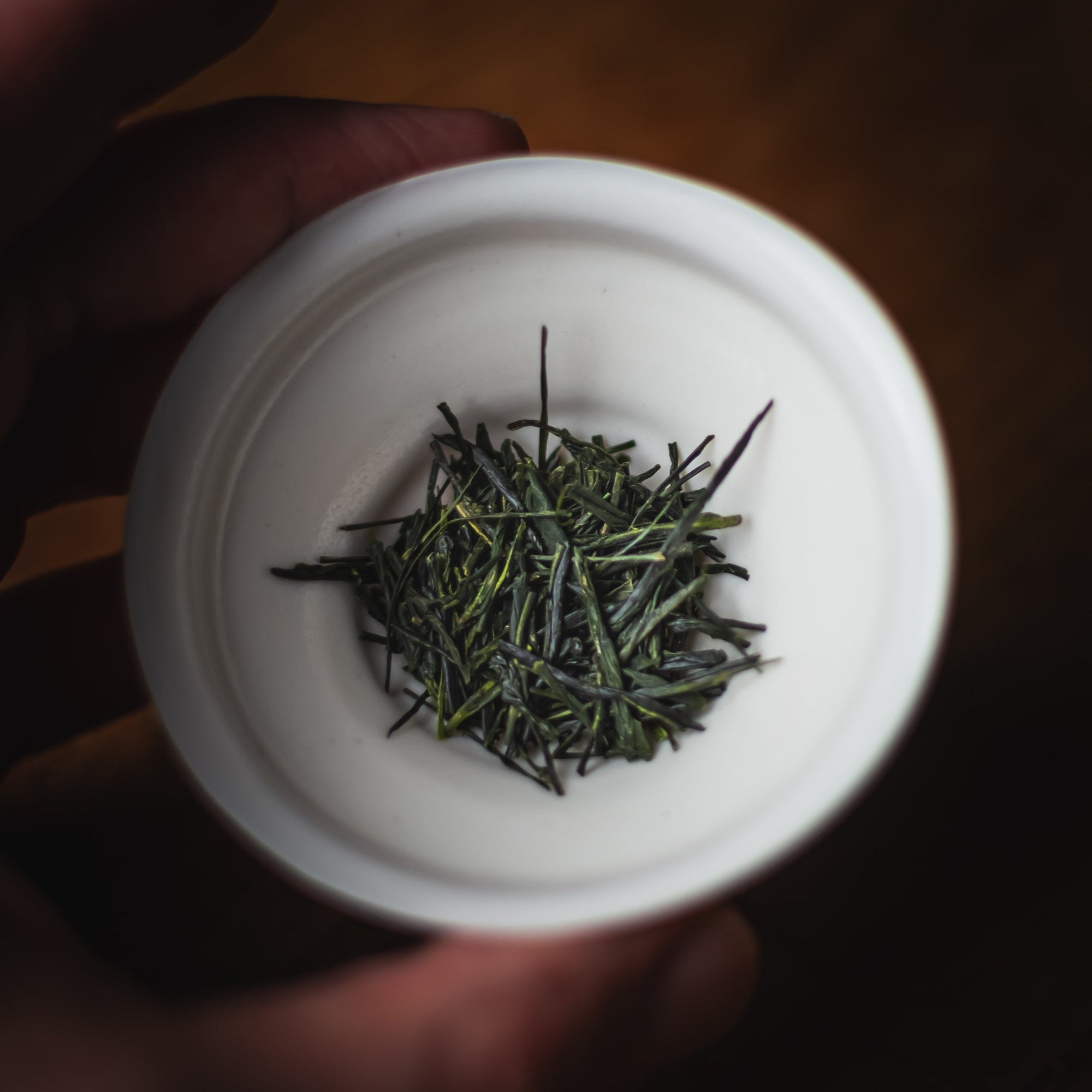 White container with green herbs held by a hand on a dark background