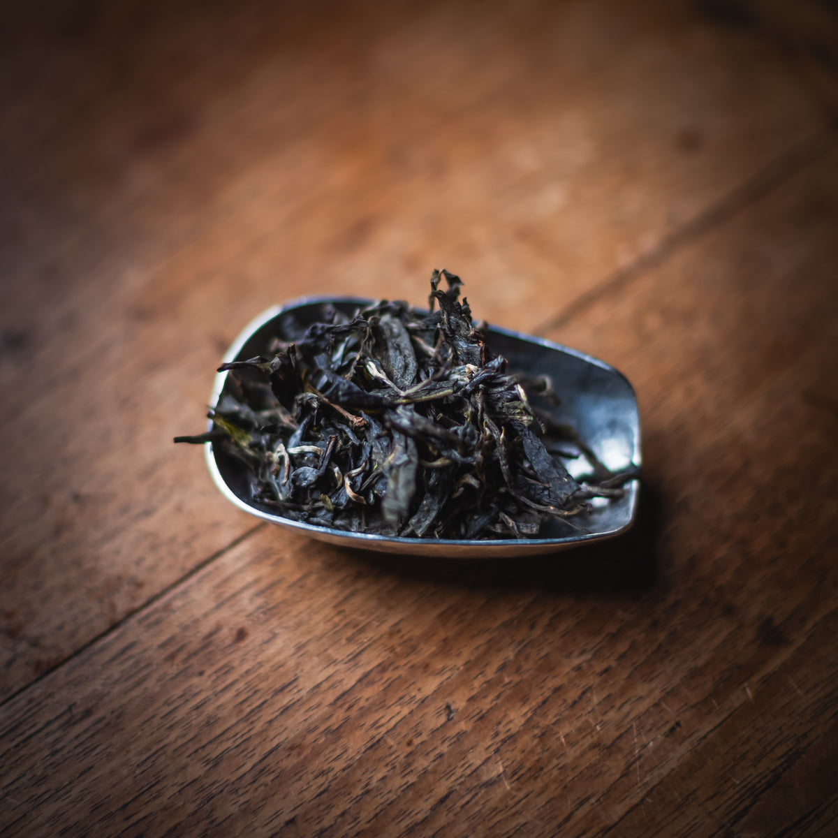Small Tin Scoop #005