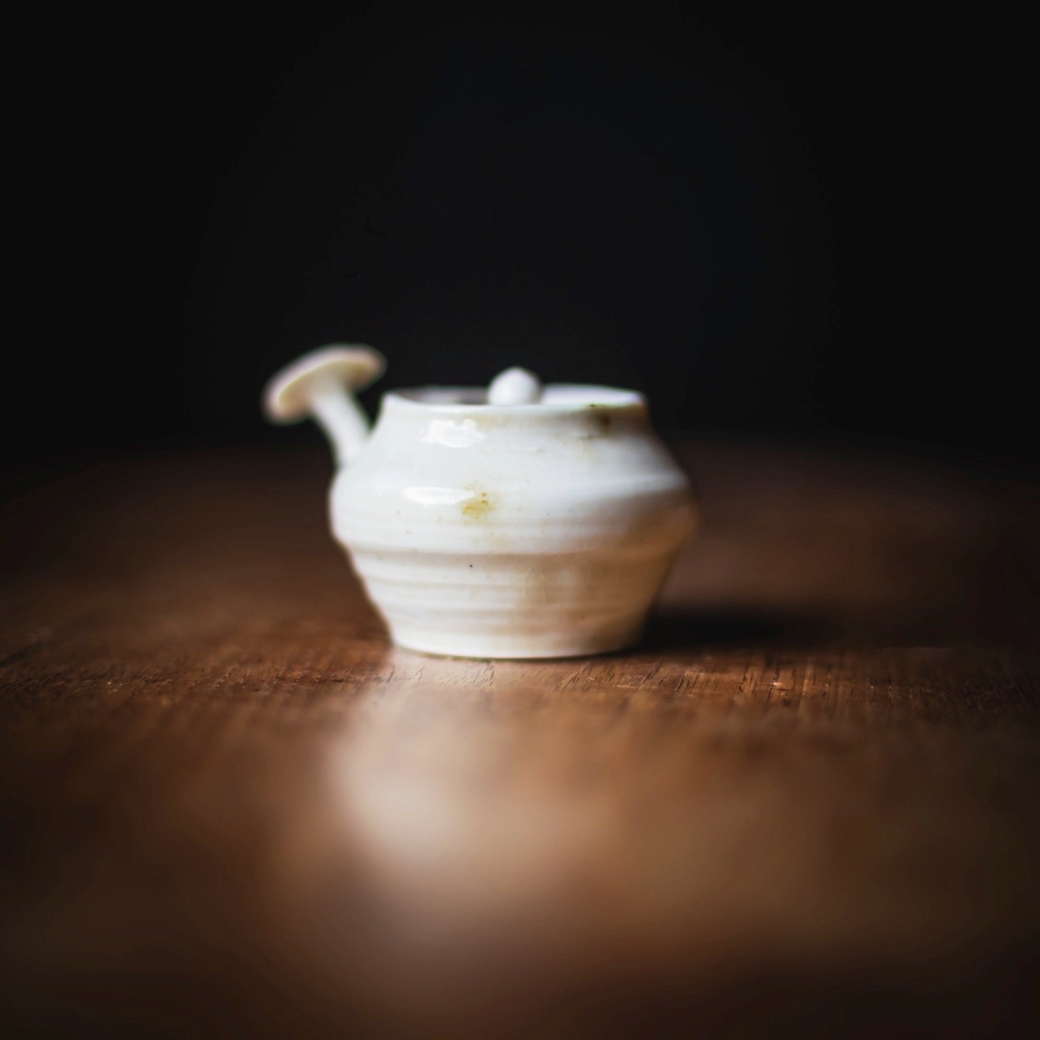 Granite Teapot #102 (view 4)