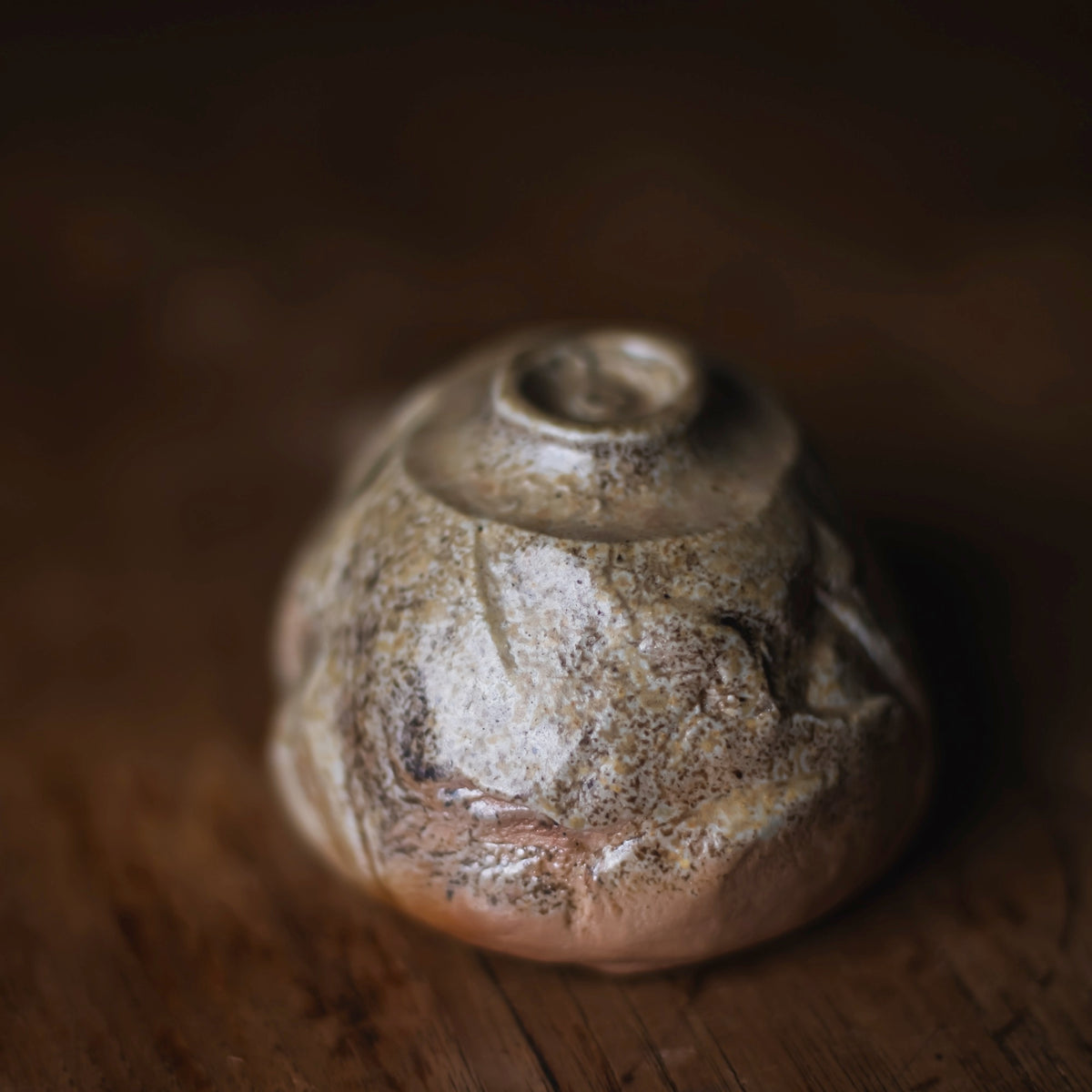 Marbled Bizen Shuki #012 (view 11)