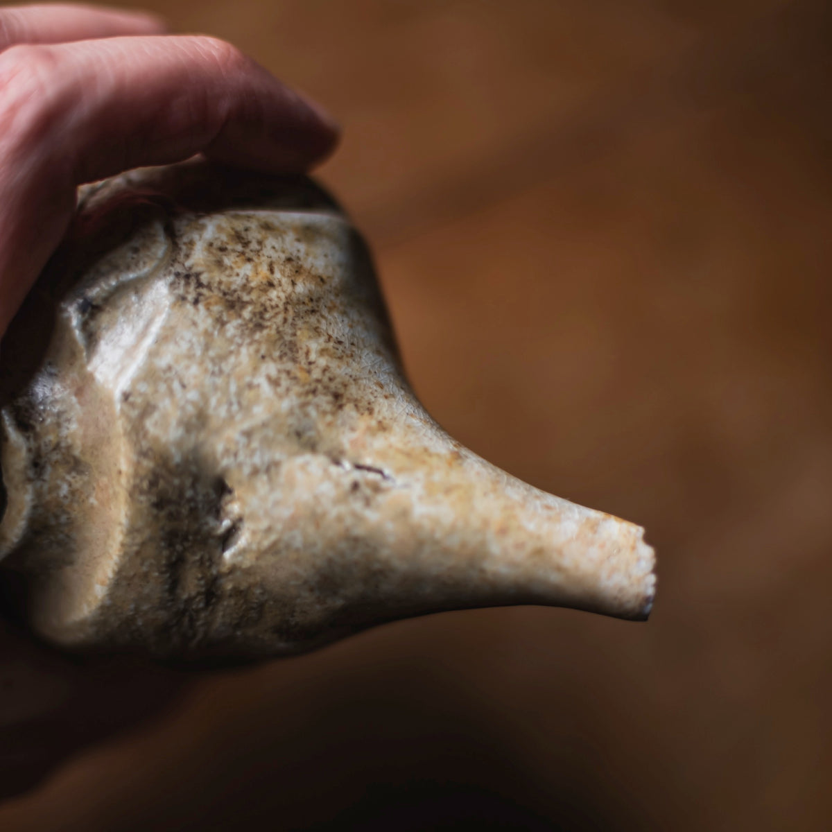 Marbled Bizen Shuki #012 (view 14)