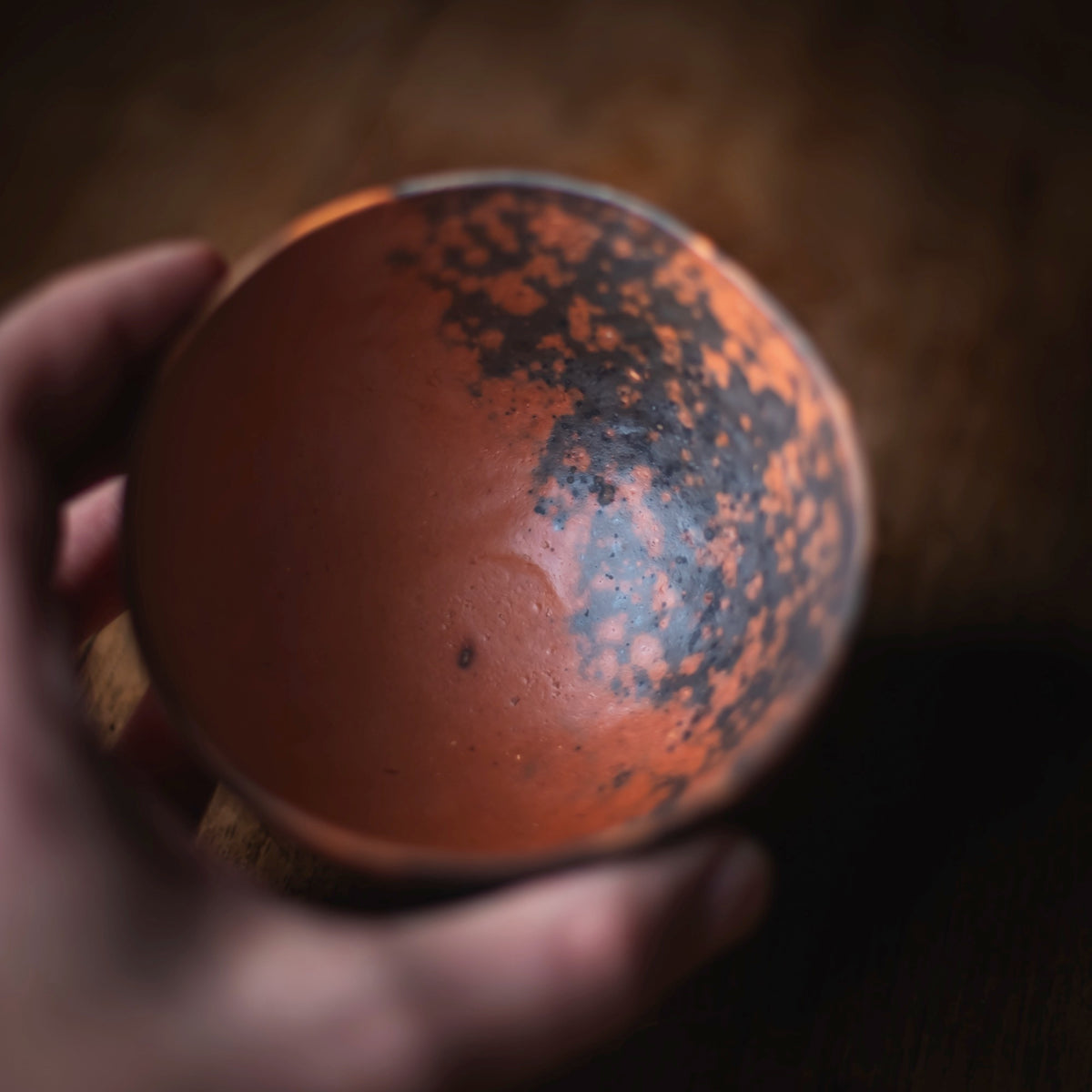 Terra-sigillata Bowl #201 (view 8)