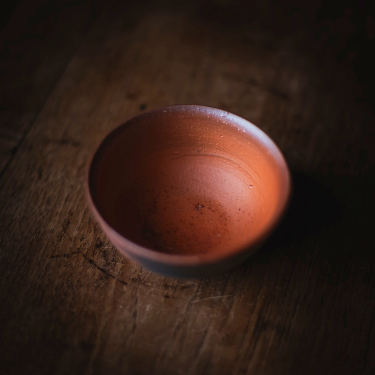 Large Terra-sigillata Cup #214 (view 3)