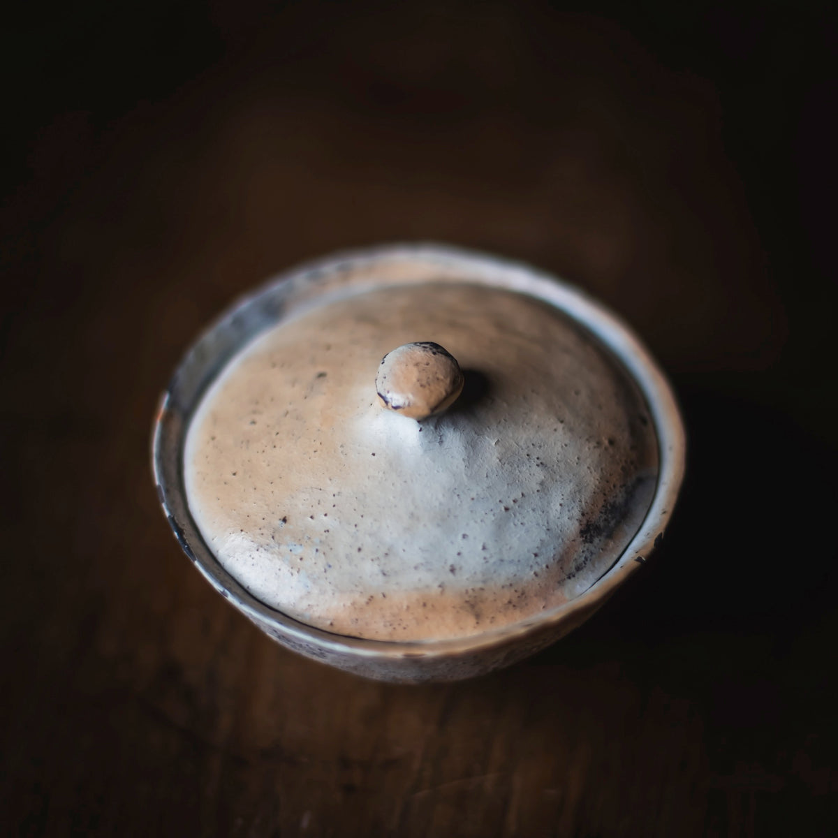 Terra-sigillata Gaiwan #101 (view 4)