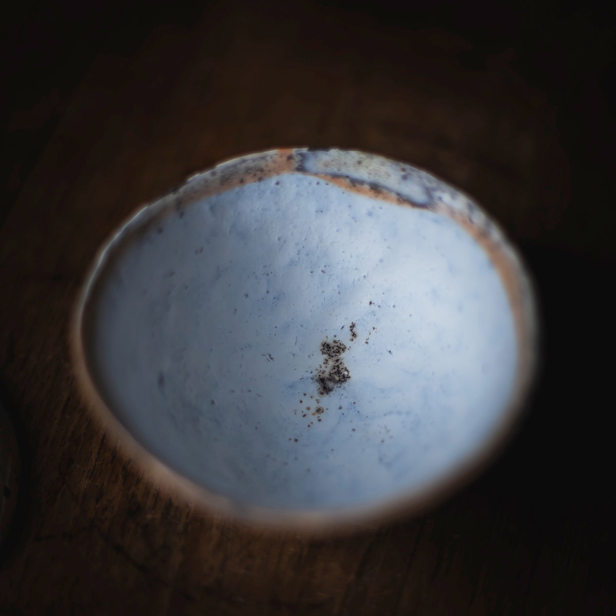 Terra-sigillata Gaiwan #101 (view 5)