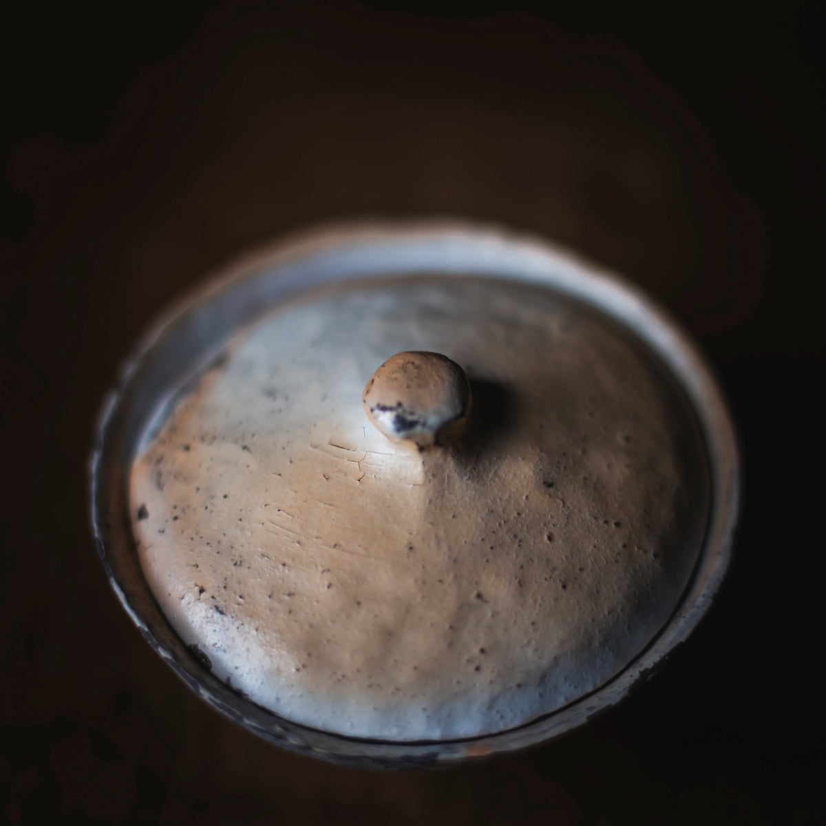 Terra-sigillata Gaiwan #101 (view 8)