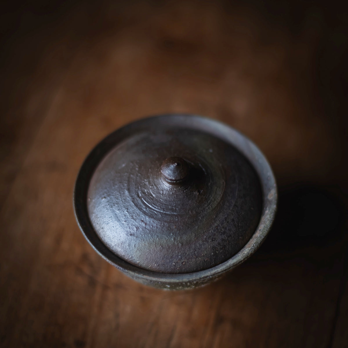 Terra-sigillata Gaiwan #202 (view 3)