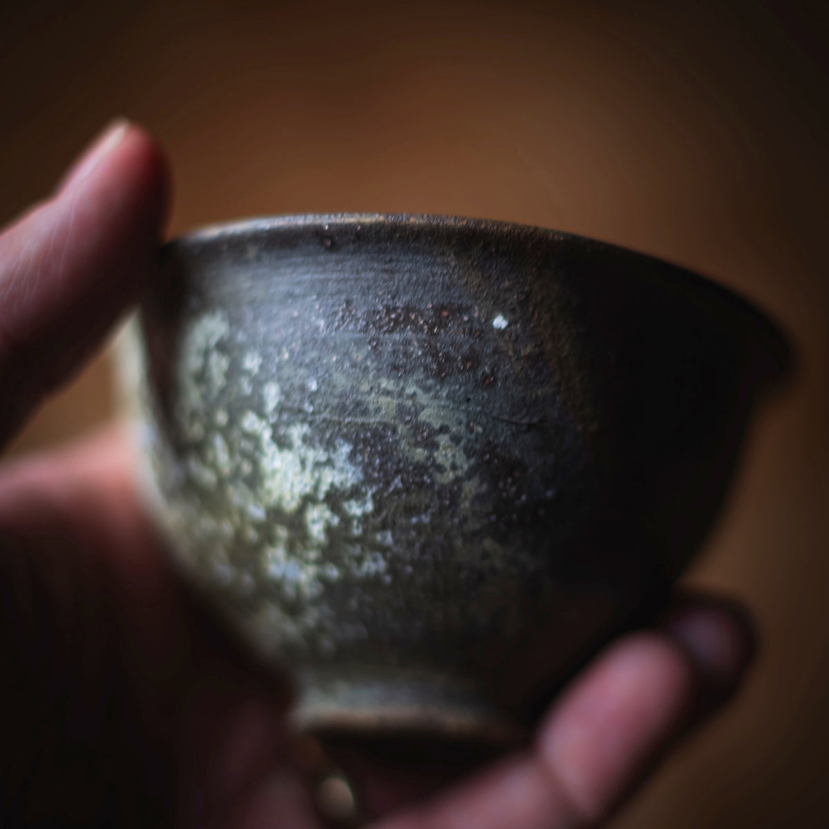 Terra-sigillata Gaiwan #202 (view 9)