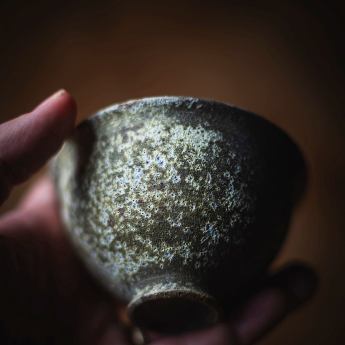 Terra-sigillata Gaiwan #202 (view 10)