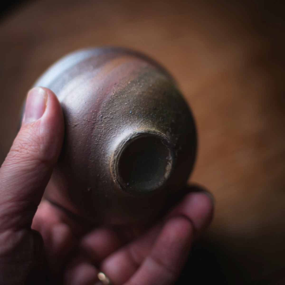 Terra-sigillata Gaiwan #203 (view 9)