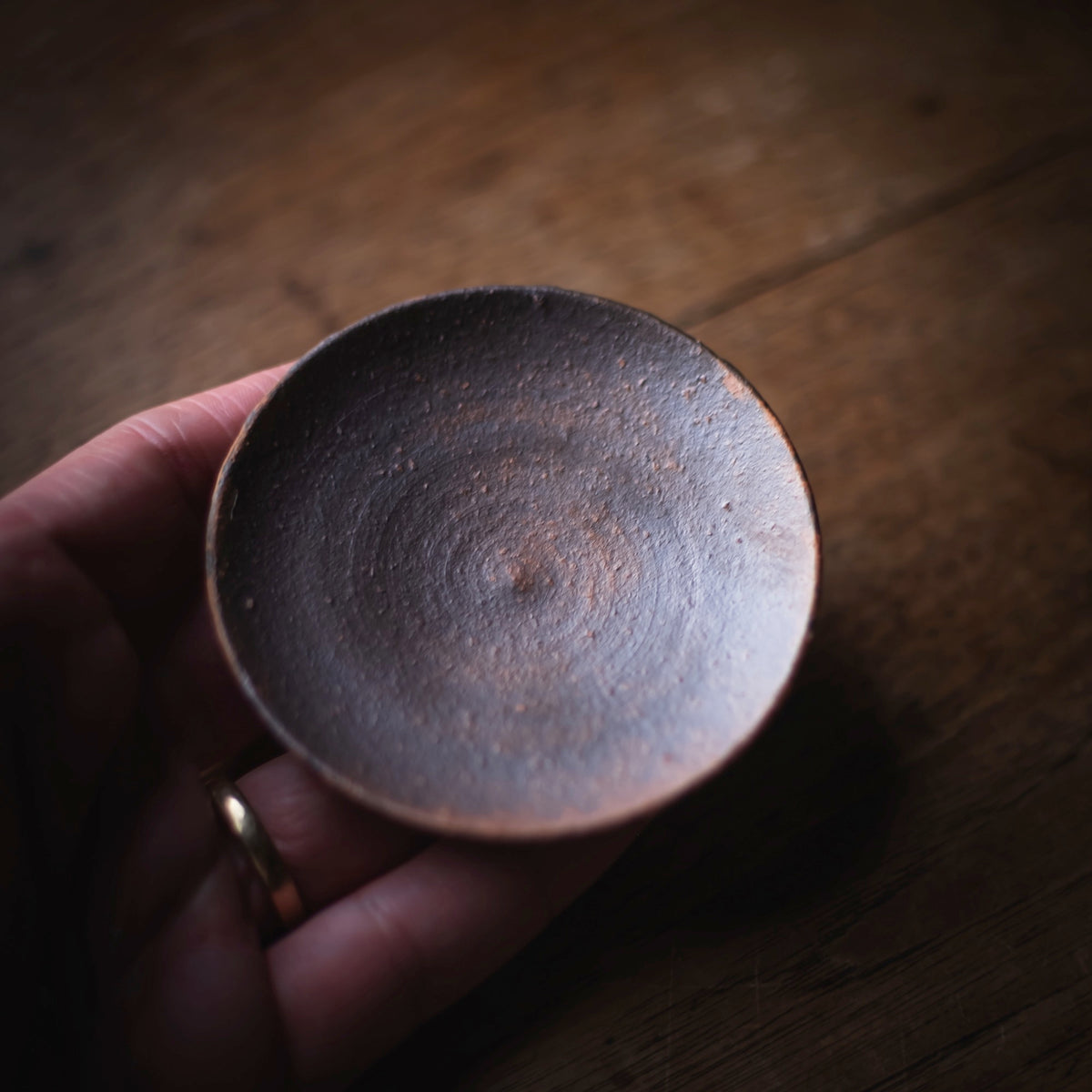 Terra-sigillata Gaiwan #205 (view 5)