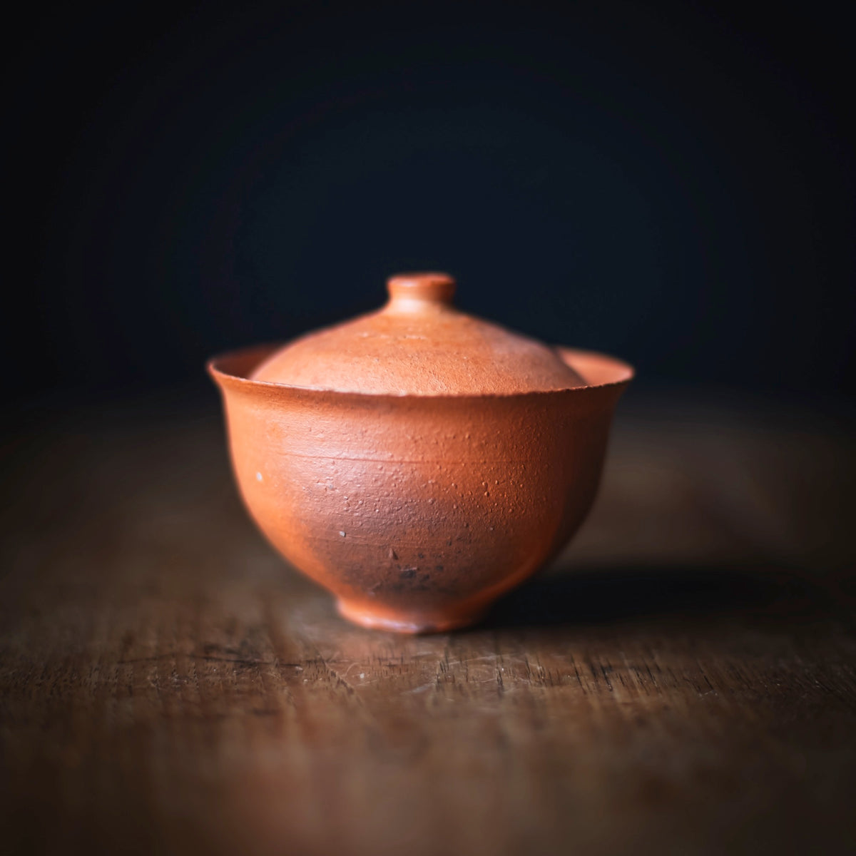 Terra-sigillata Gaiwan #206 (view 2)