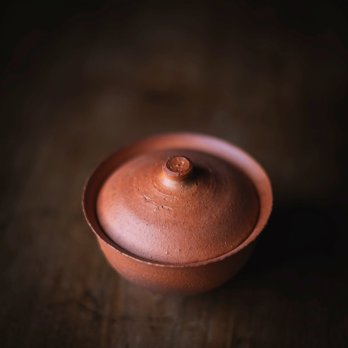Terra-sigillata Gaiwan #206 (view 3)