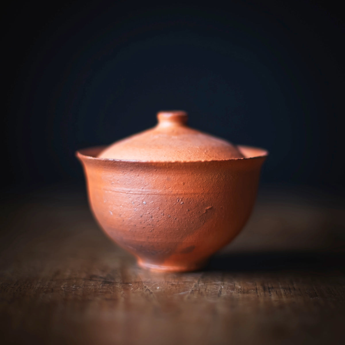 Terra-sigillata Gaiwan #206 (view 4)