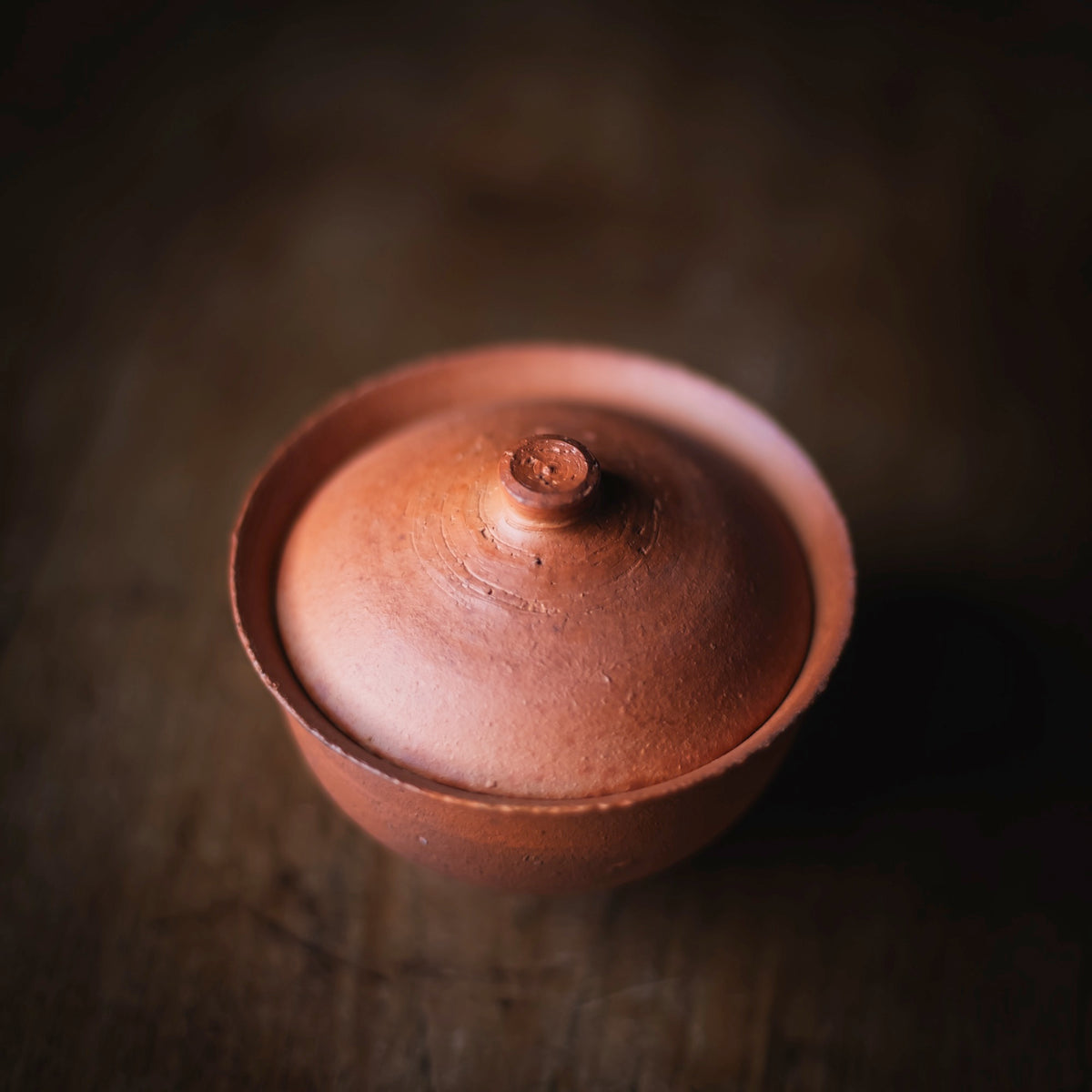 Terra-sigillata Gaiwan #206 (view 5)