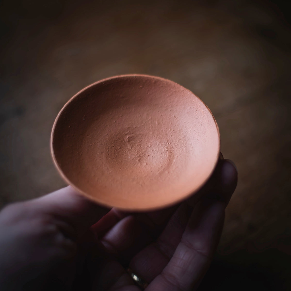 Terra-sigillata Gaiwan #206 (view 6)