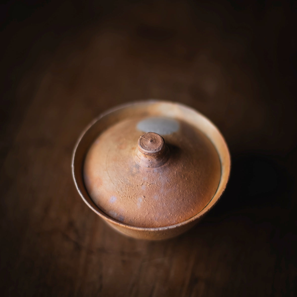 Terra-sigillata Gaiwan #208 (view 4)
