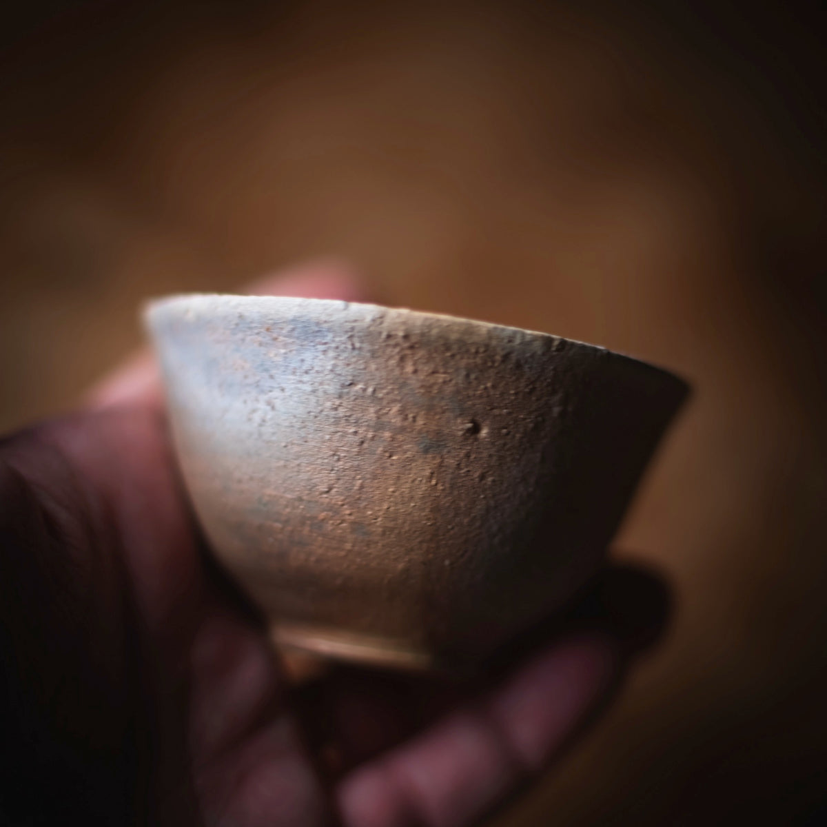 Terra-sigillata Gaiwan #208 (view 8)
