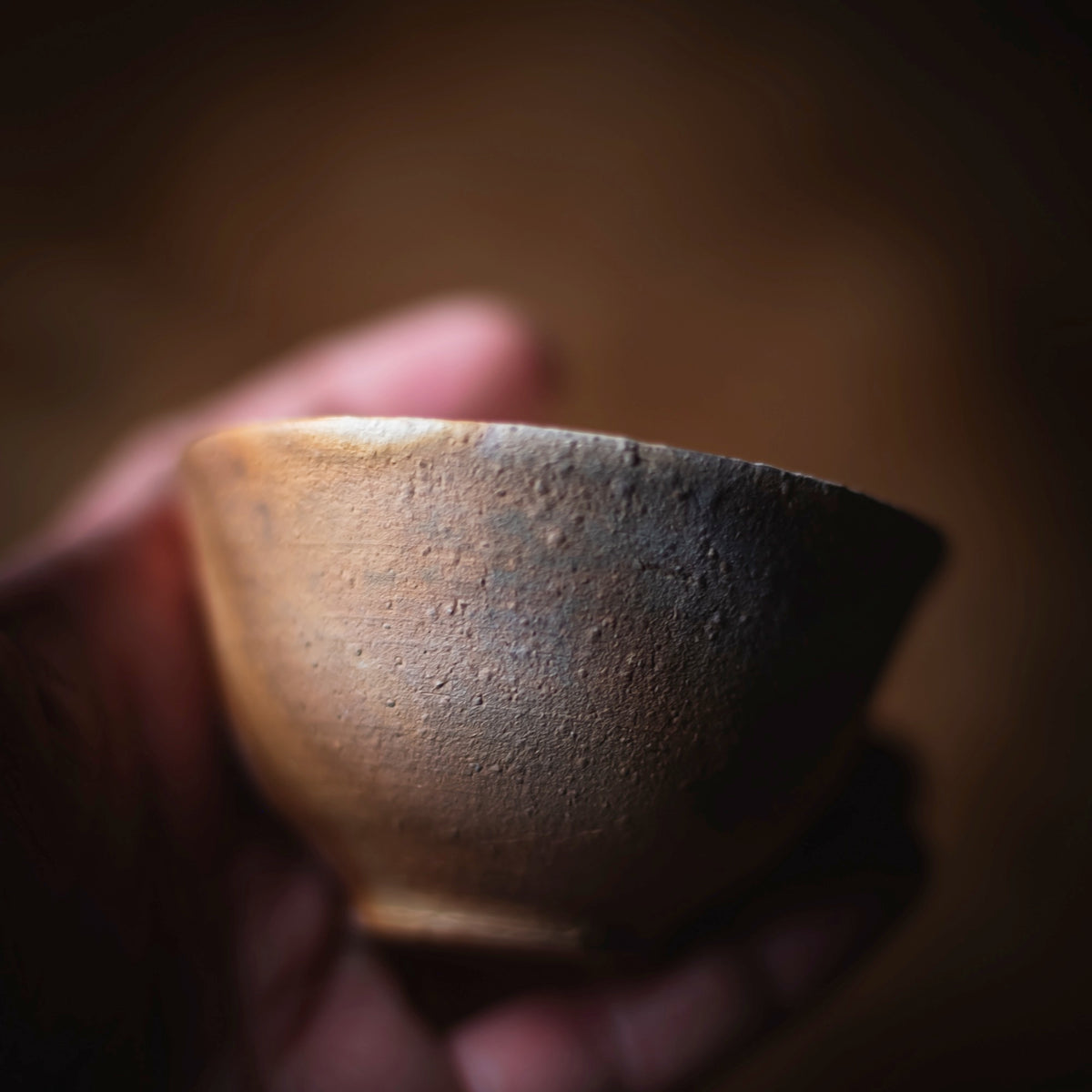 Terra-sigillata Gaiwan #208 (view 9)