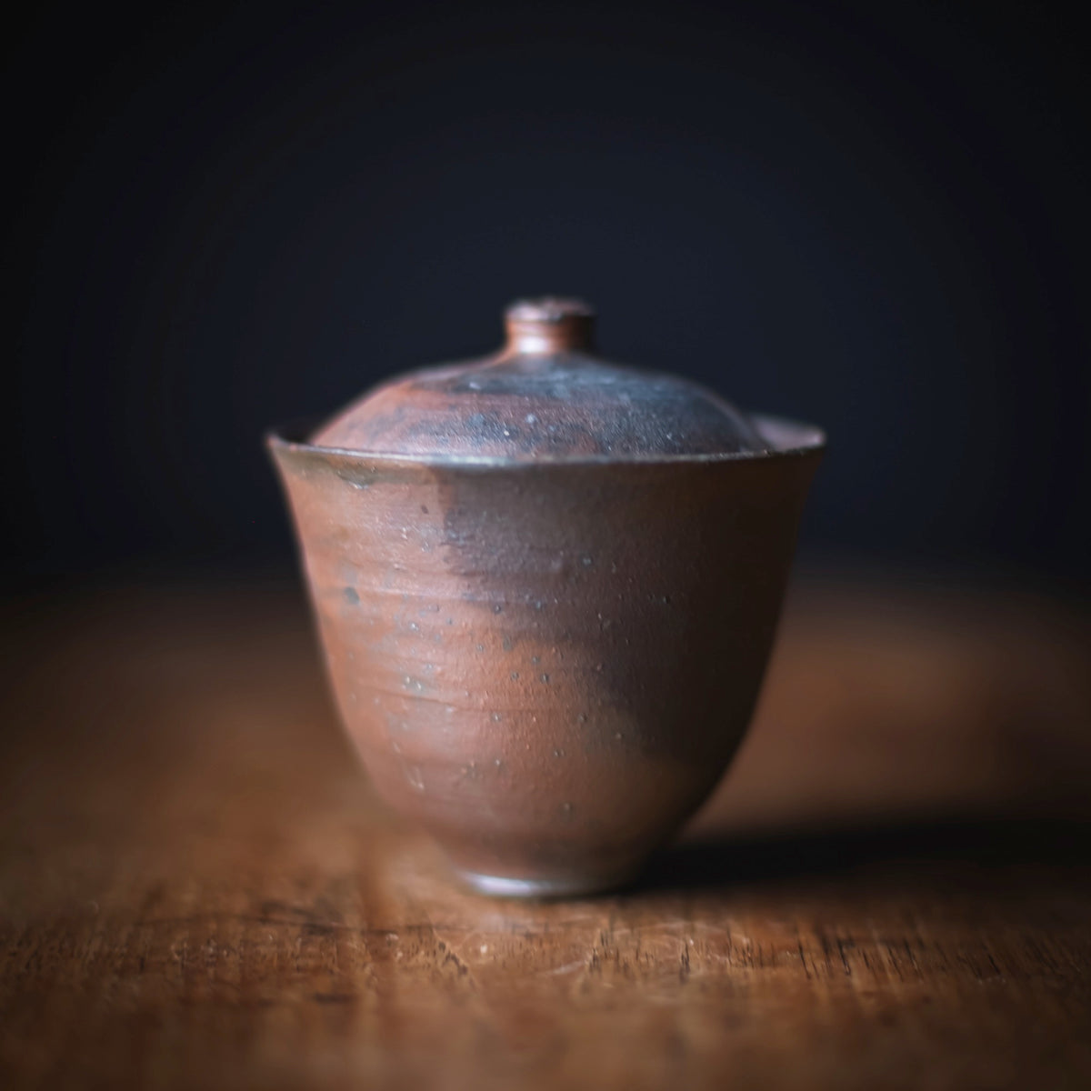 Terra-sigillata Gaiwan #209 (view 4)