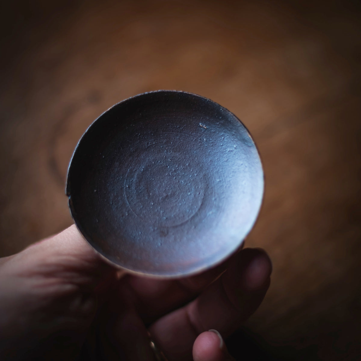 Terra-sigillata Gaiwan #209 (view 5)