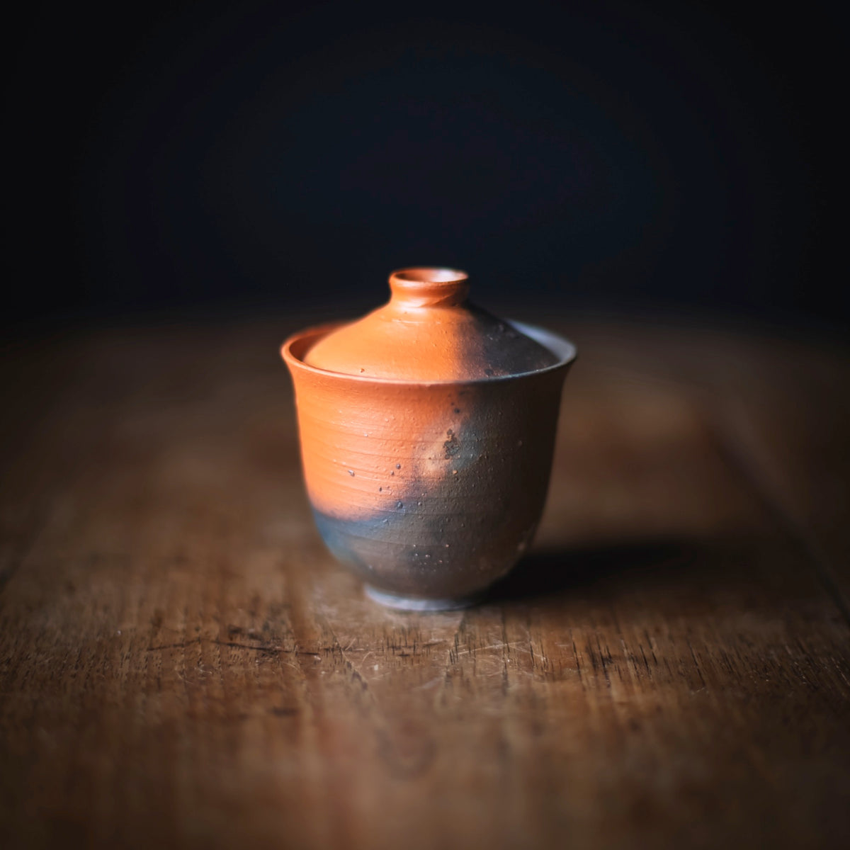 Terra-sigillata Gaiwan #210 (view 2)