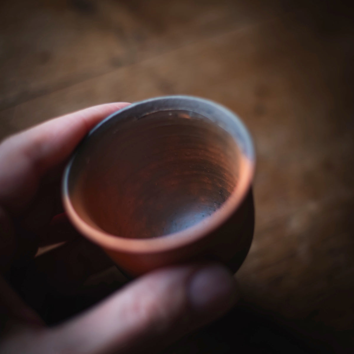 Terra-sigillata Gaiwan #210 (view 8)