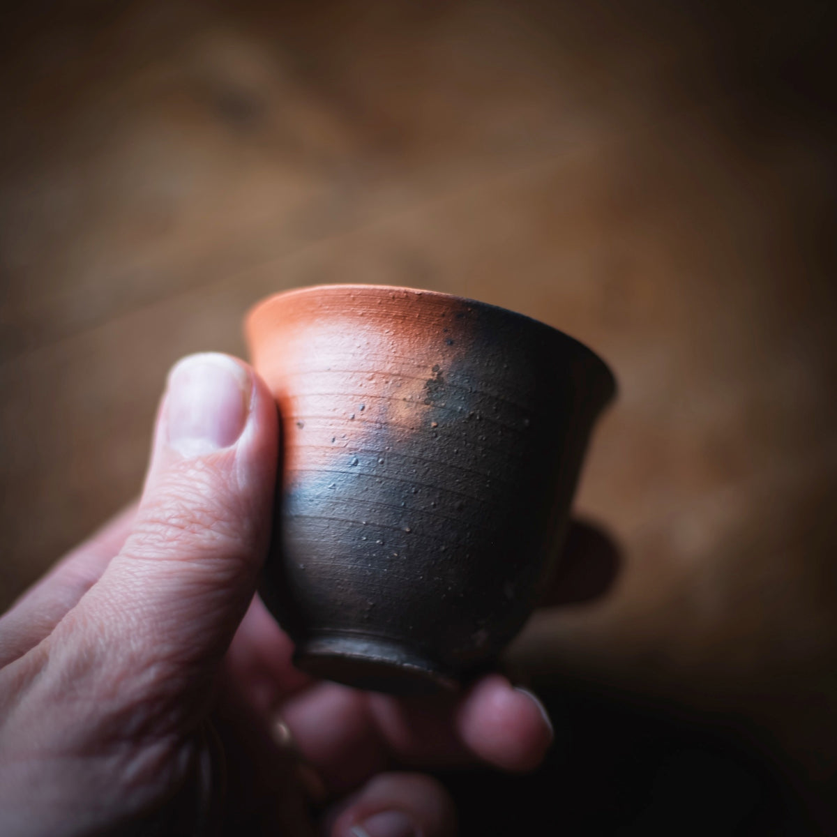 Terra-sigillata Gaiwan #210 (view 9)