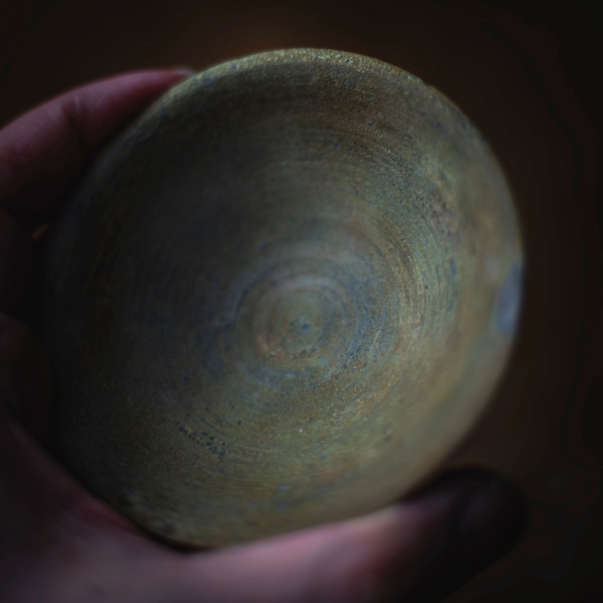 Terra-sigillata Plate #201 (view 9)