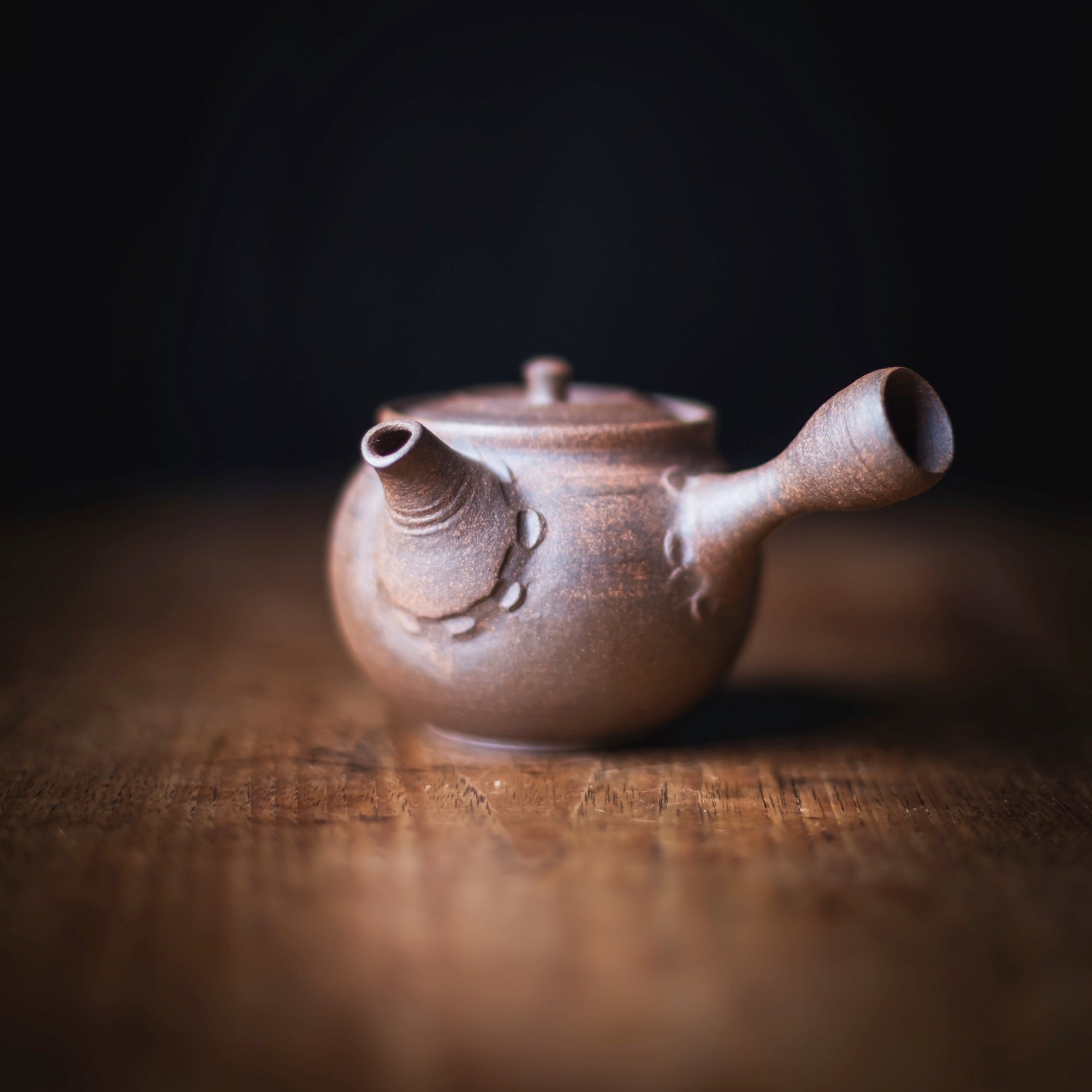 KOHOKUJO Yakishime Kyusu #019 (view 2)