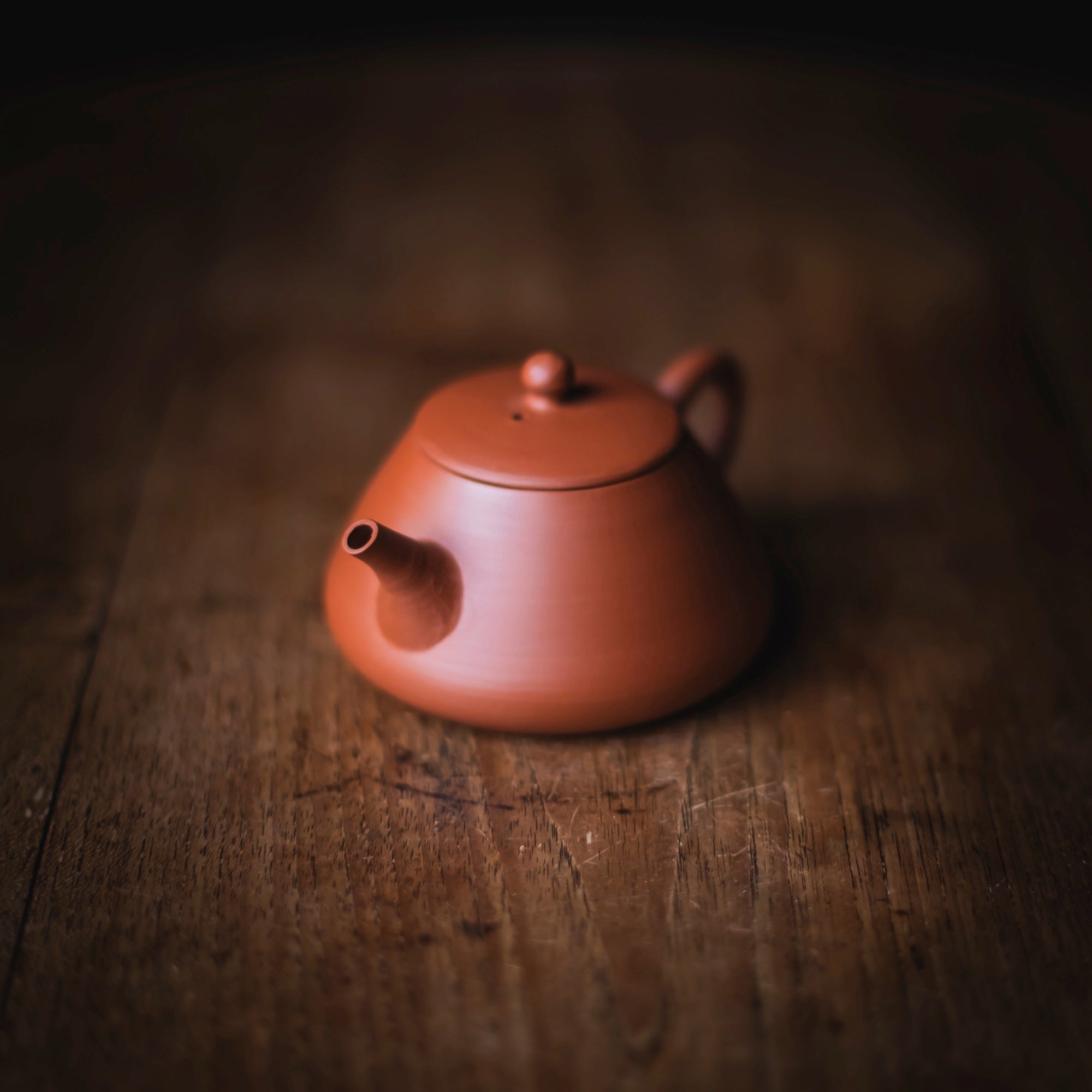 TOZAN YAMADA Hon Shudei Back-Handle Teapot #017