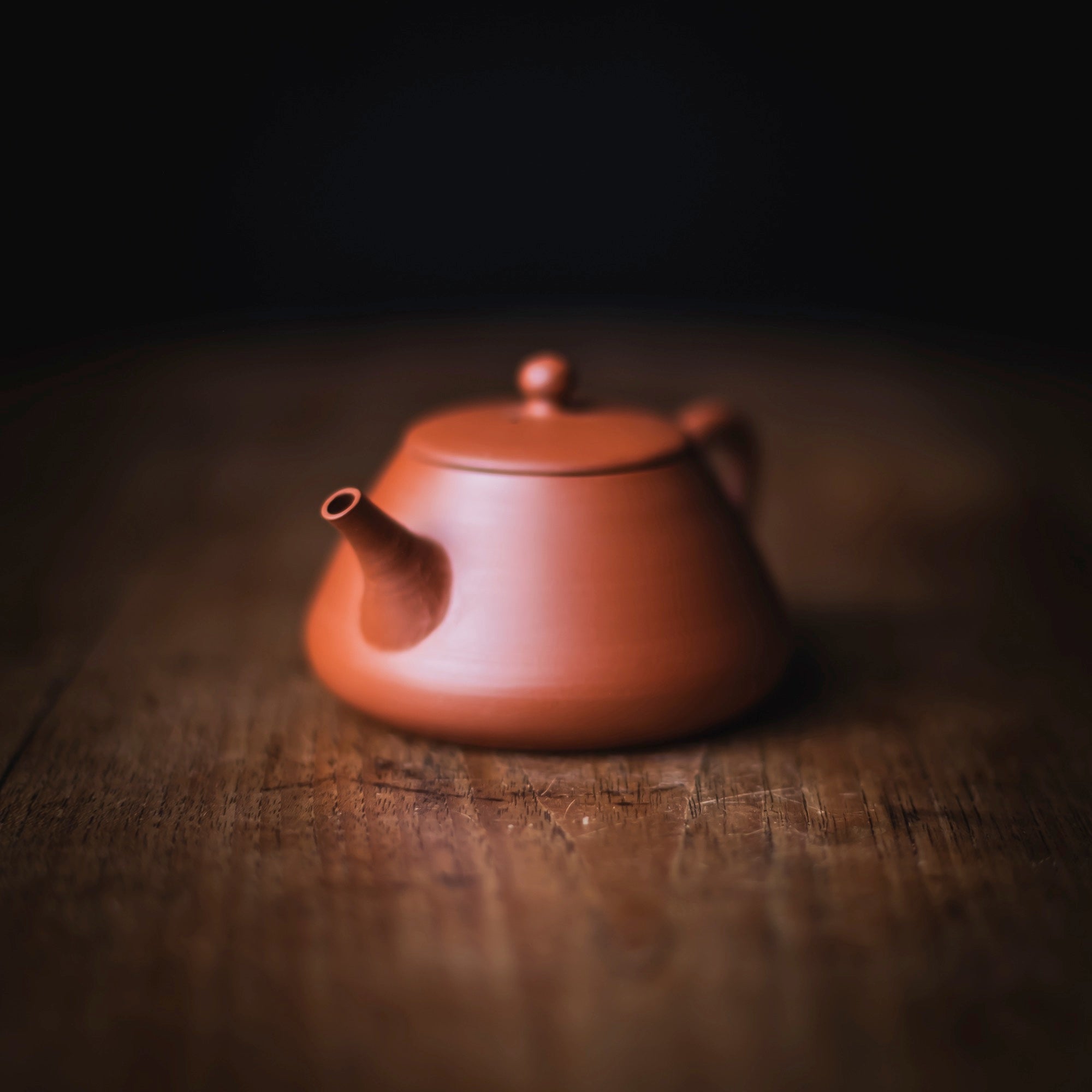 TOZAN YAMADA Hon Shudei Back-Handle Teapot #017 (view 2)