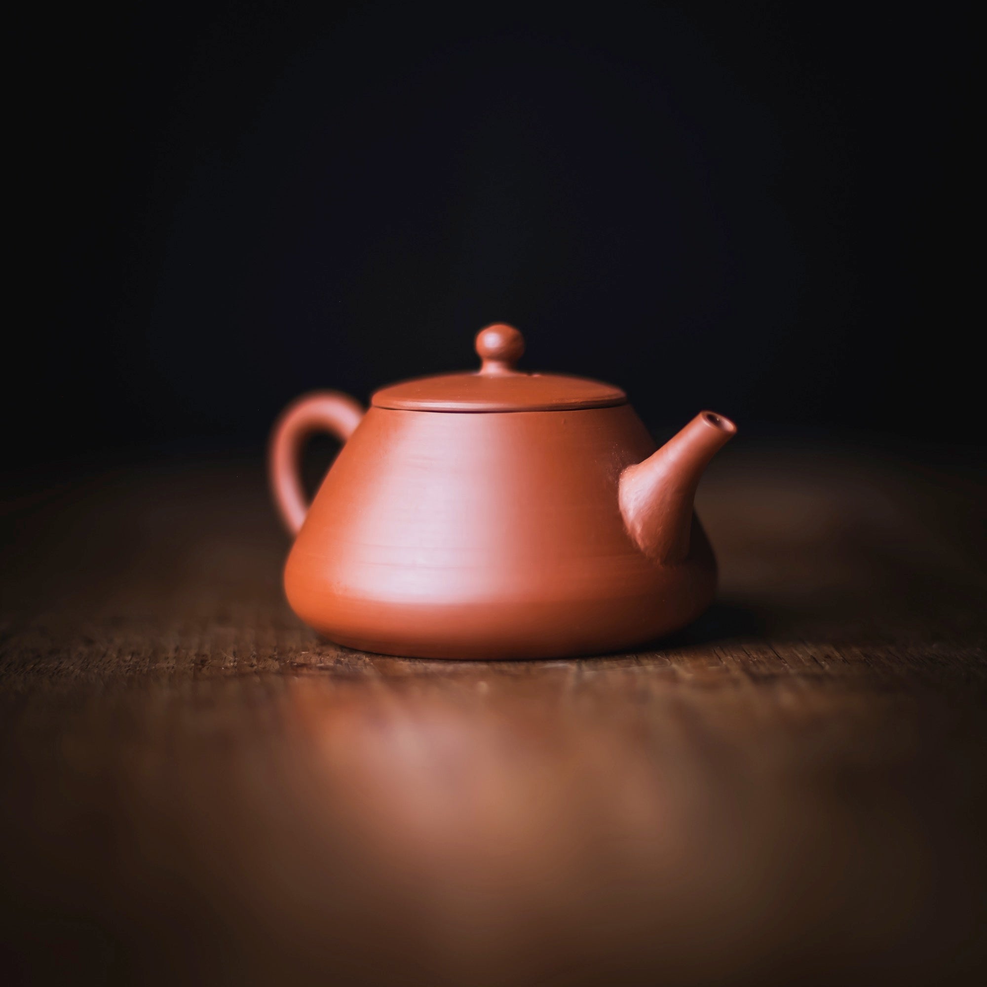 TOZAN YAMADA Hon Shudei Back-Handle Teapot #017 (view 4)