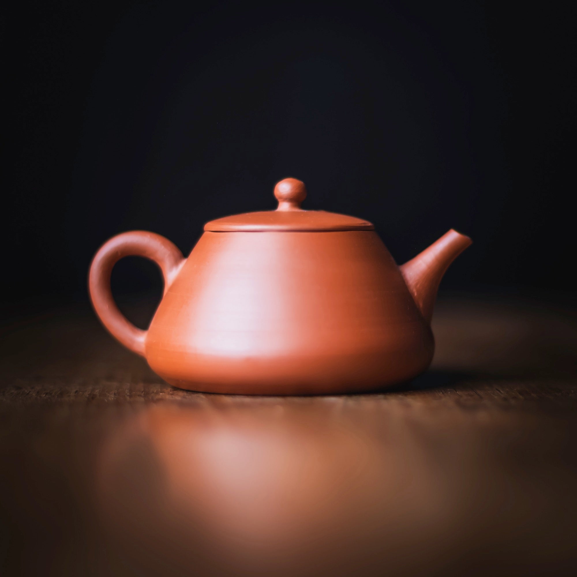TOZAN YAMADA Hon Shudei Back-Handle Teapot #017 (view 5)
