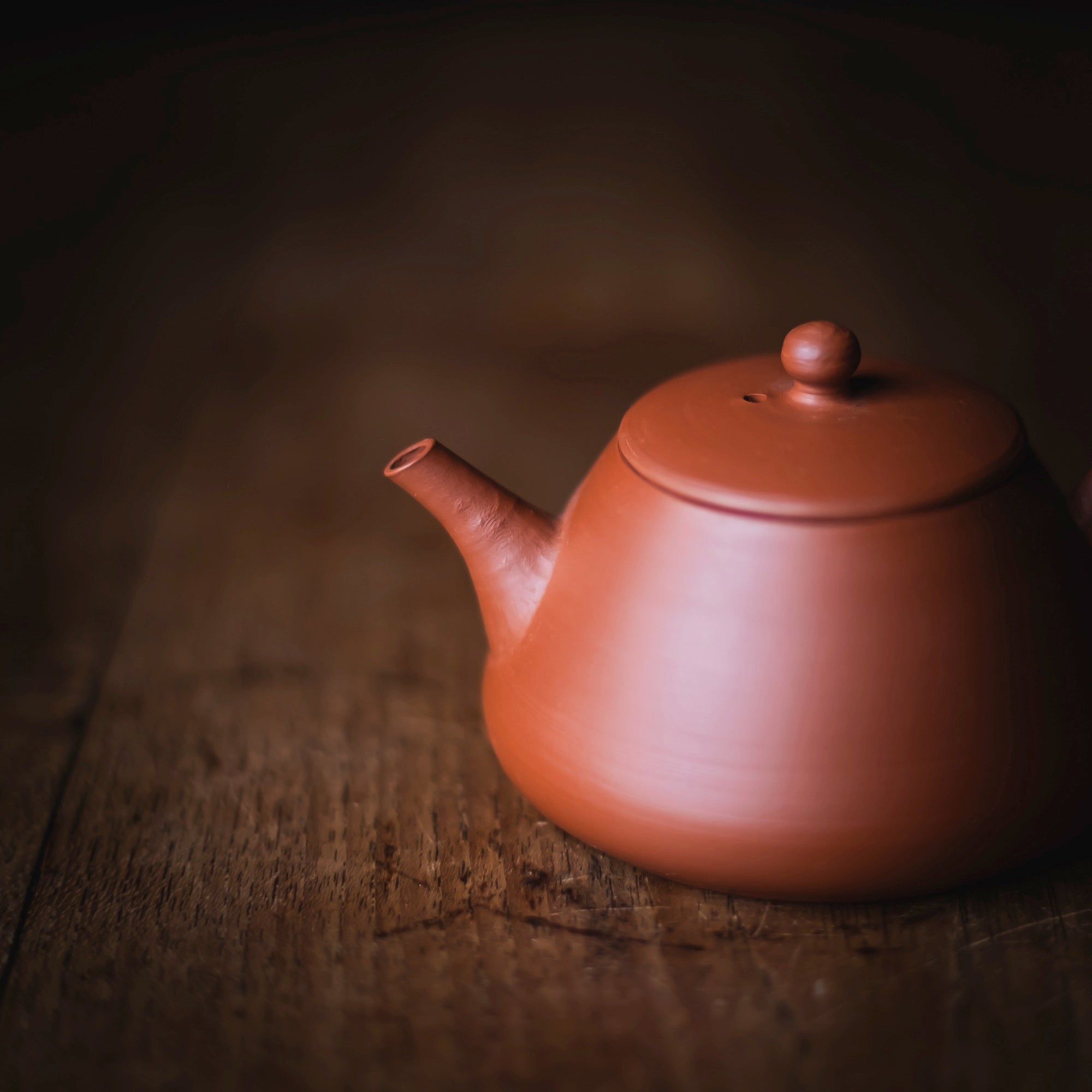 TOZAN YAMADA Hon Shudei Back-Handle Teapot #017 (view 7)