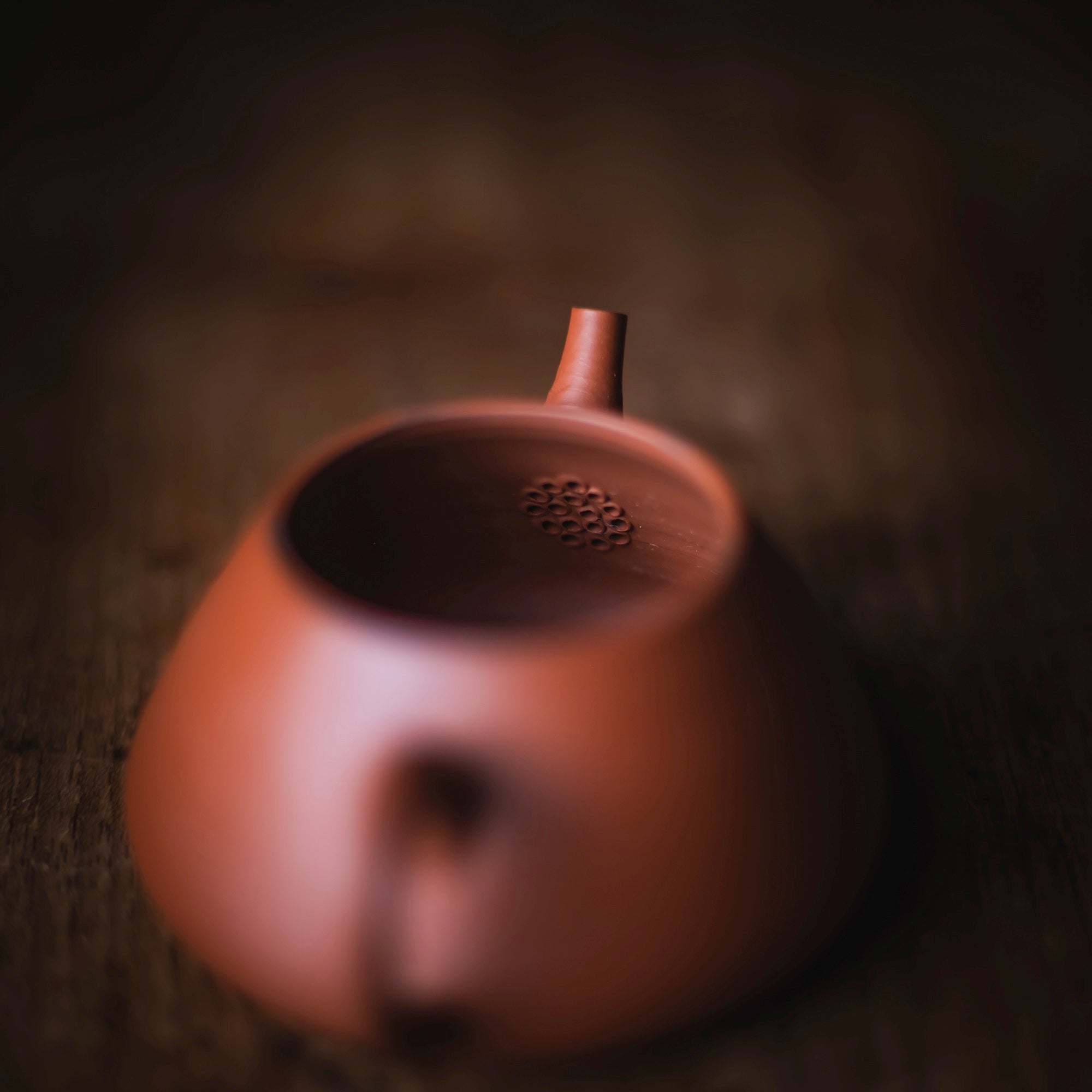 TOZAN YAMADA Hon Shudei Back-Handle Teapot #017 (view 11)