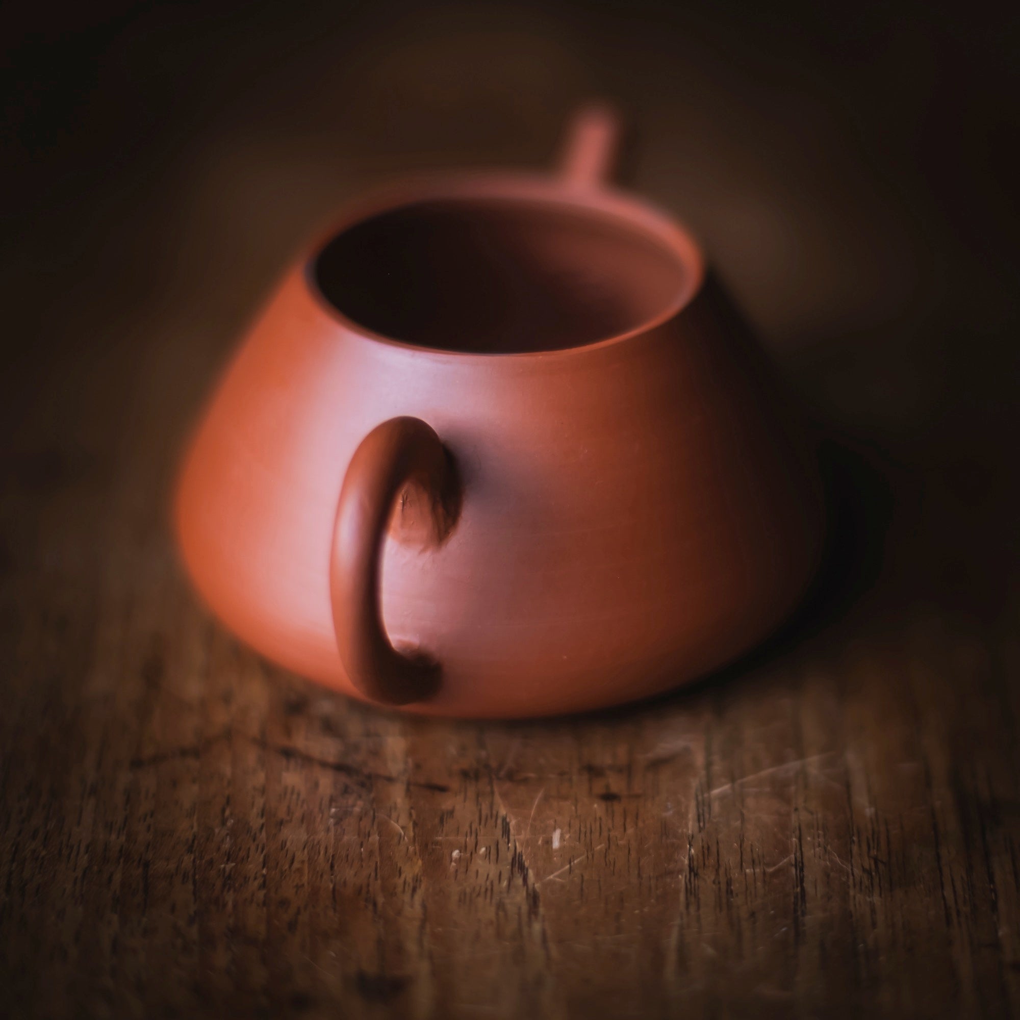 TOZAN YAMADA Hon Shudei Back-Handle Teapot #017 (view 12)