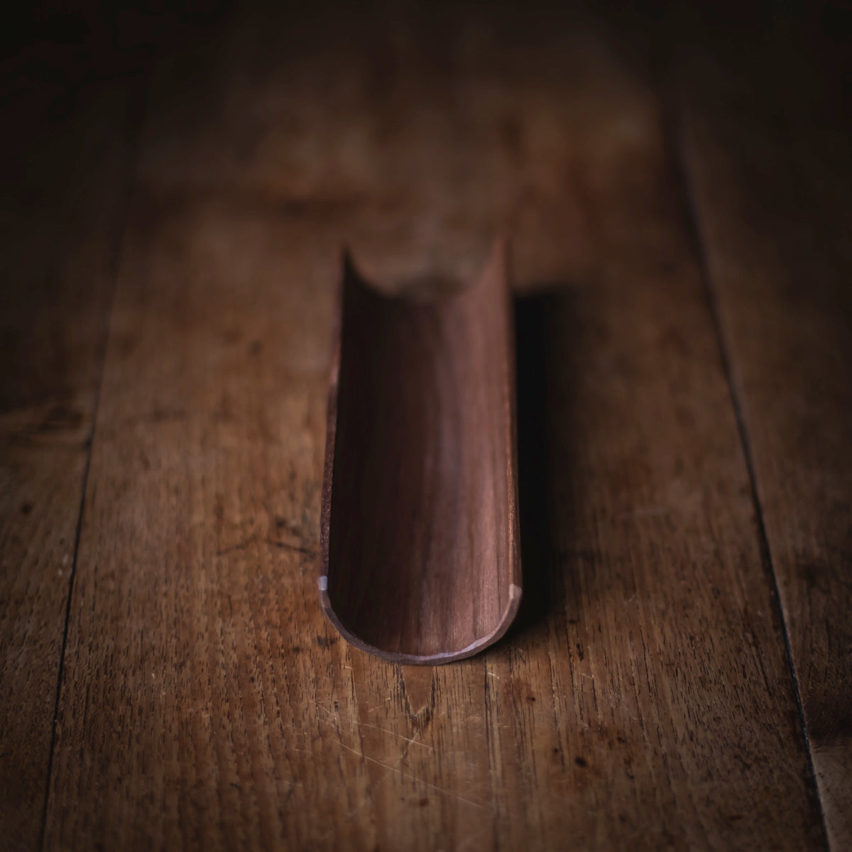 Black Walnut Scoop #501