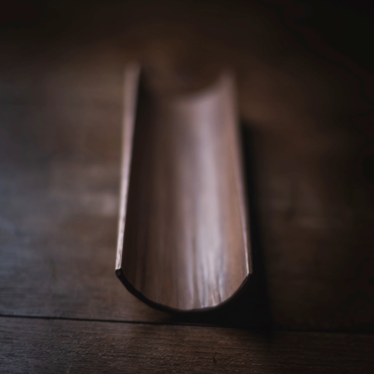 Black Walnut Scoop #502 (view 3)
