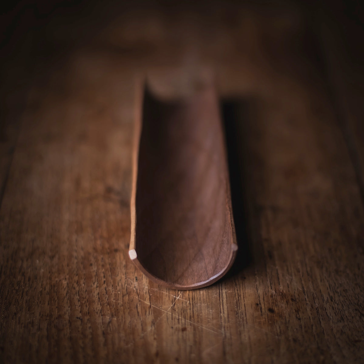 Black Walnut Scoop #503