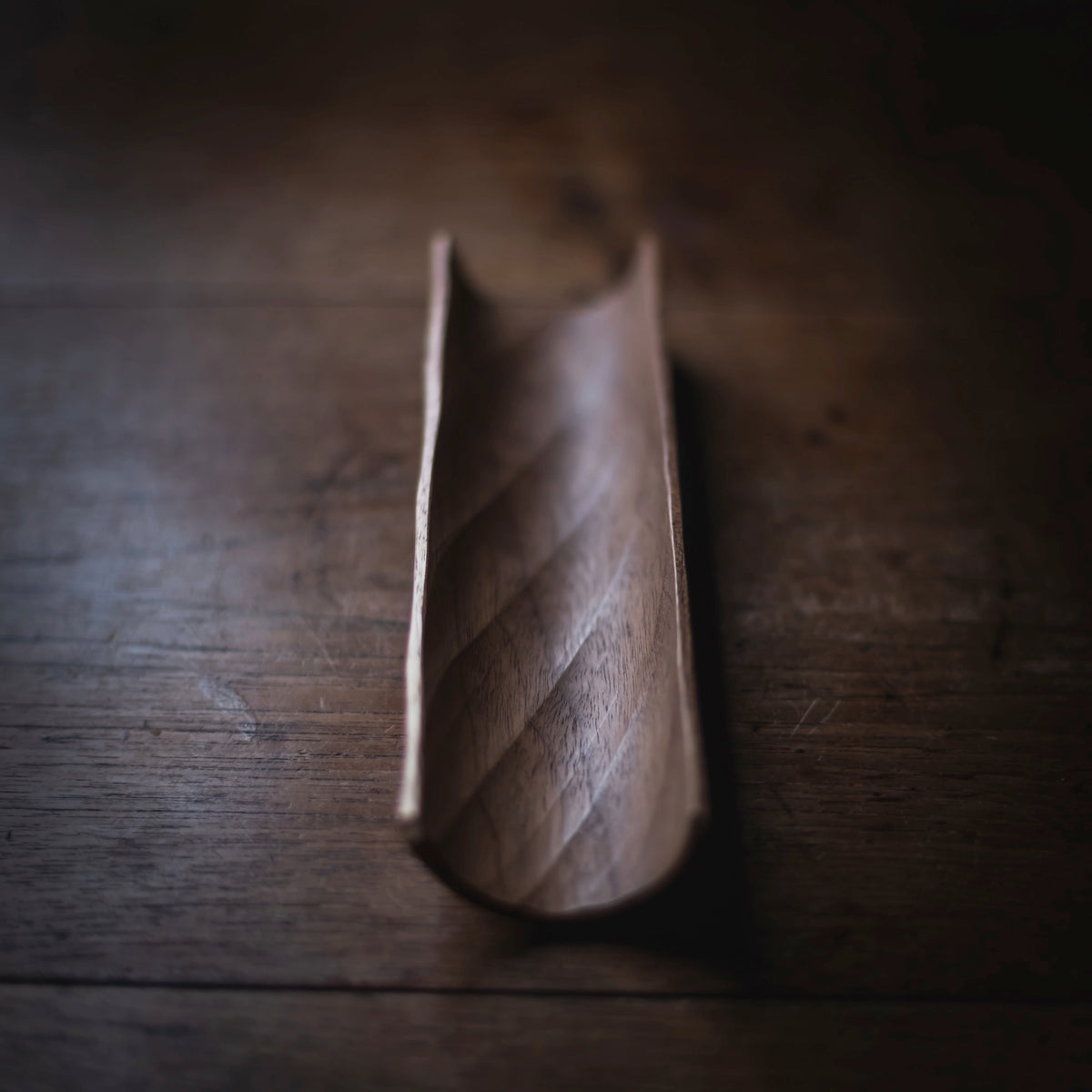 Black Walnut Scoop #503 (view 4)