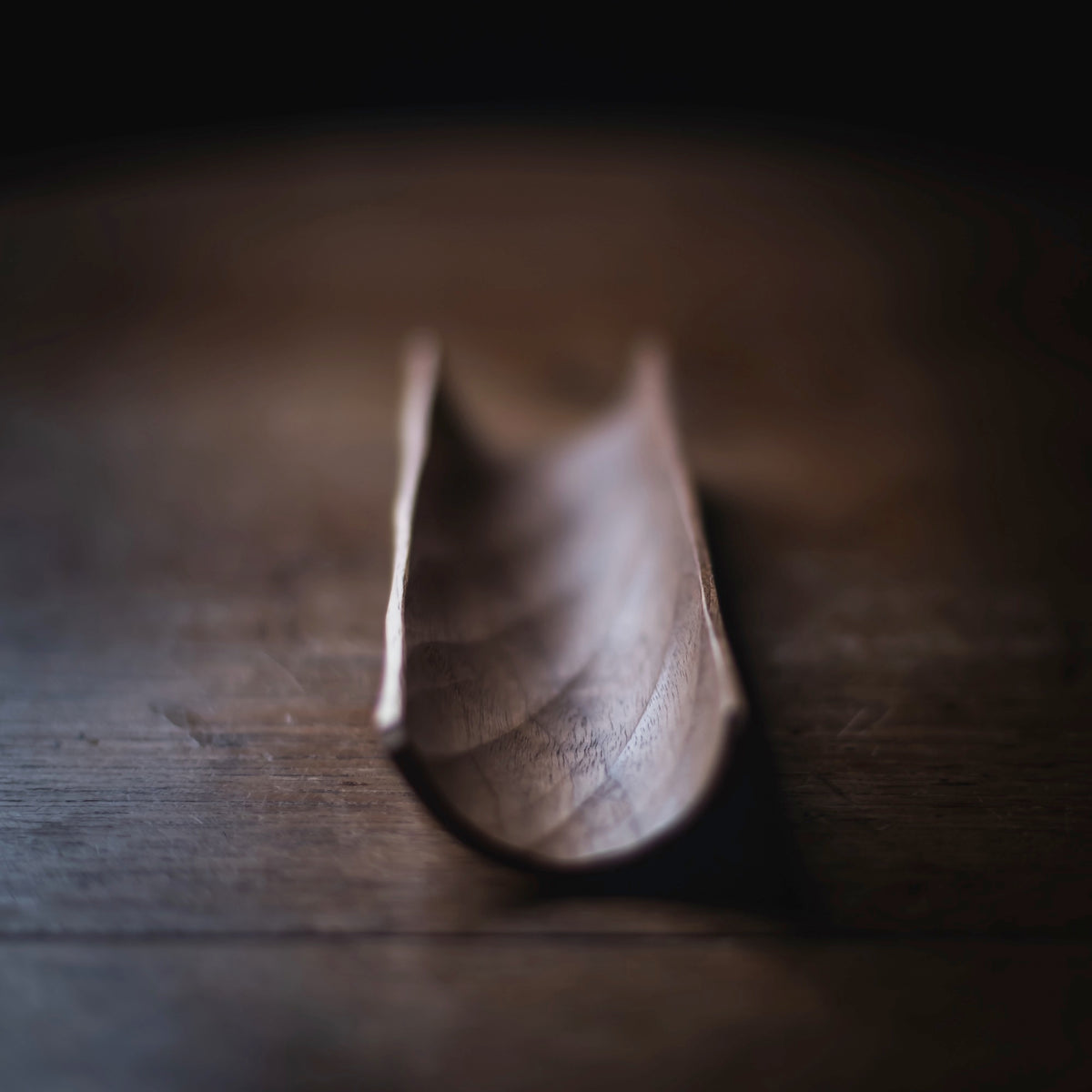 Black Walnut Scoop #503 (view 5)