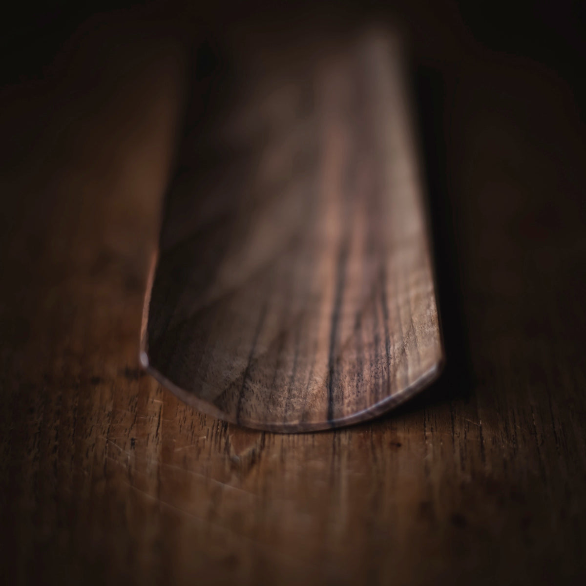 European Walnut Scoop #508 (view 2)