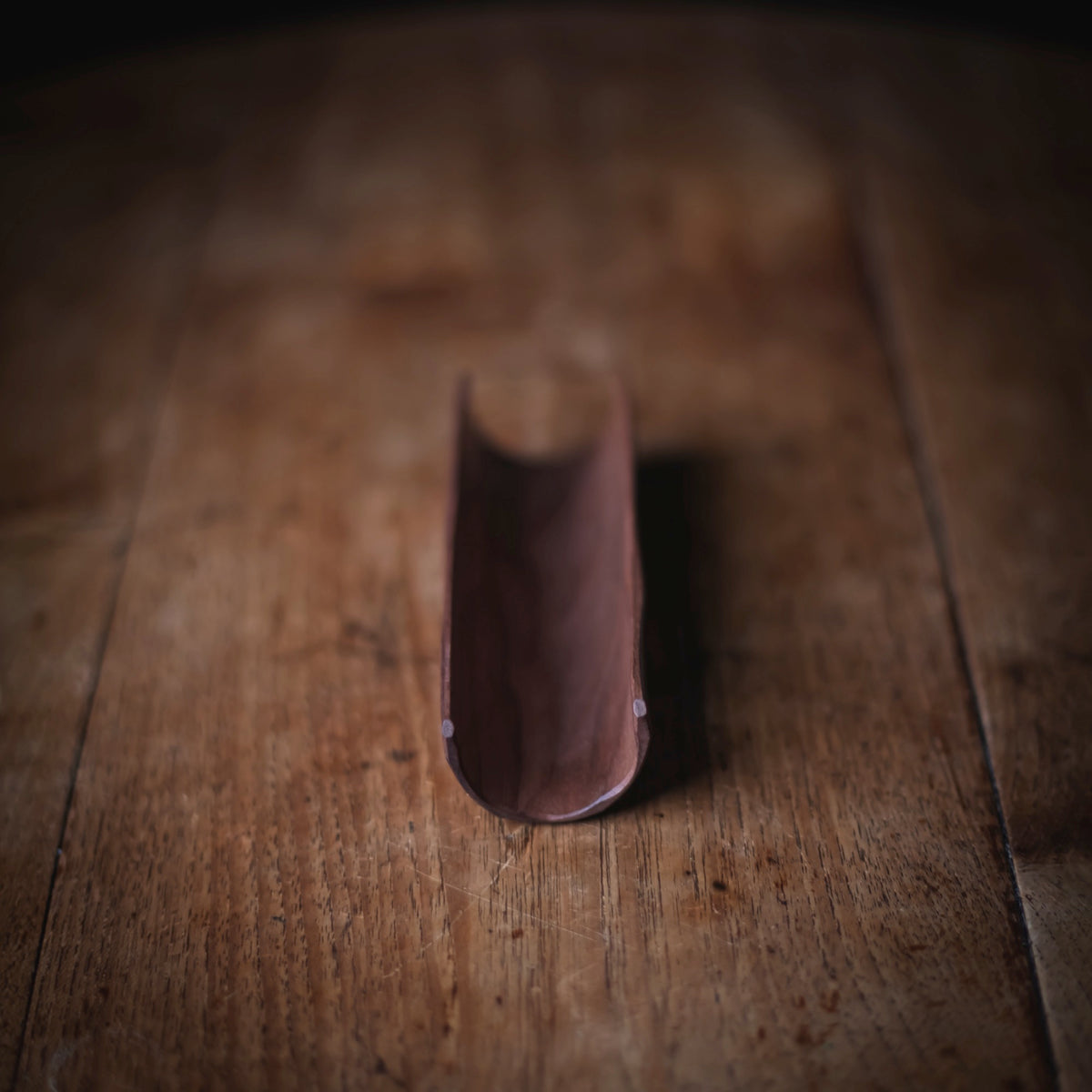 Walnut Scoop #601