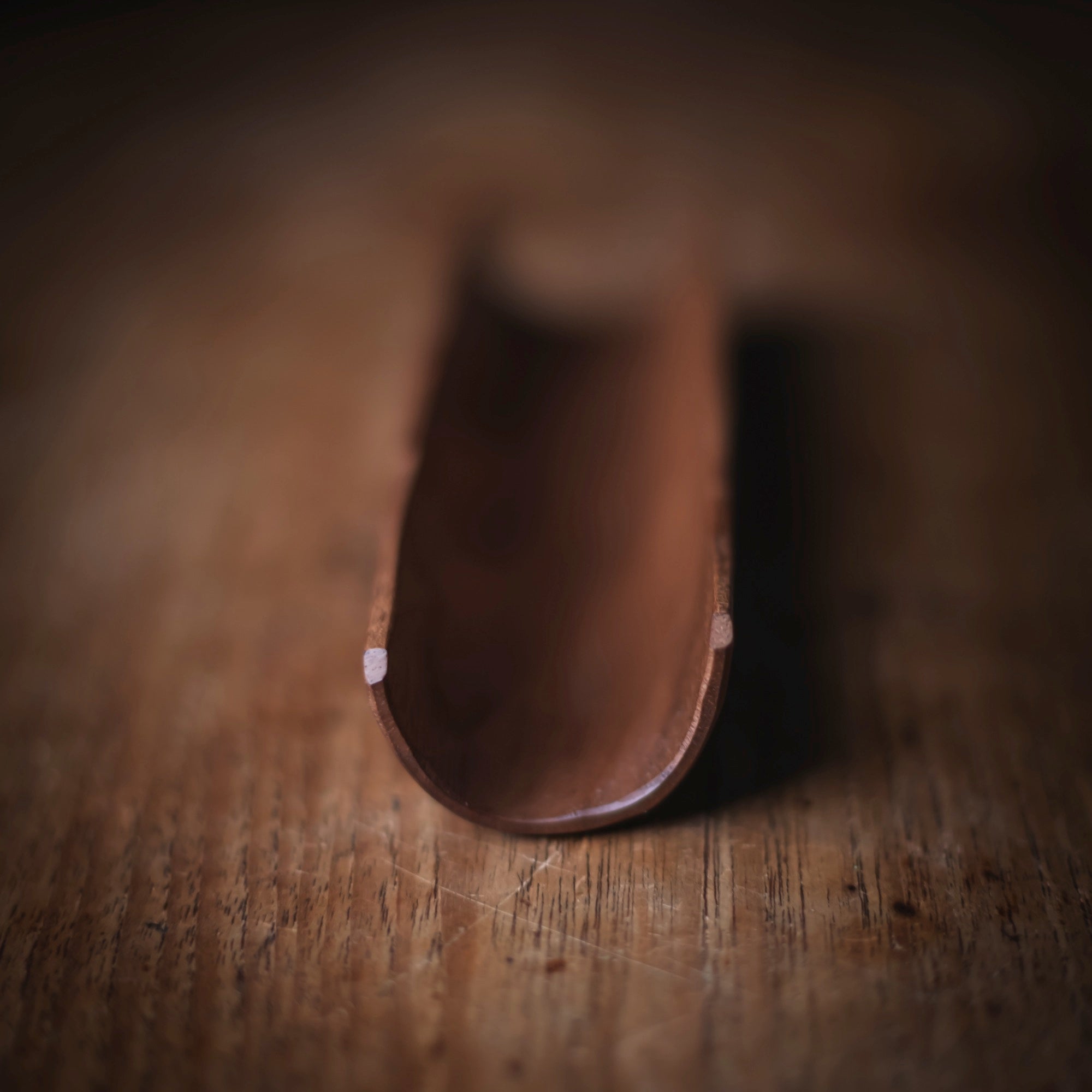 Walnut Scoop #602 (view 2)
