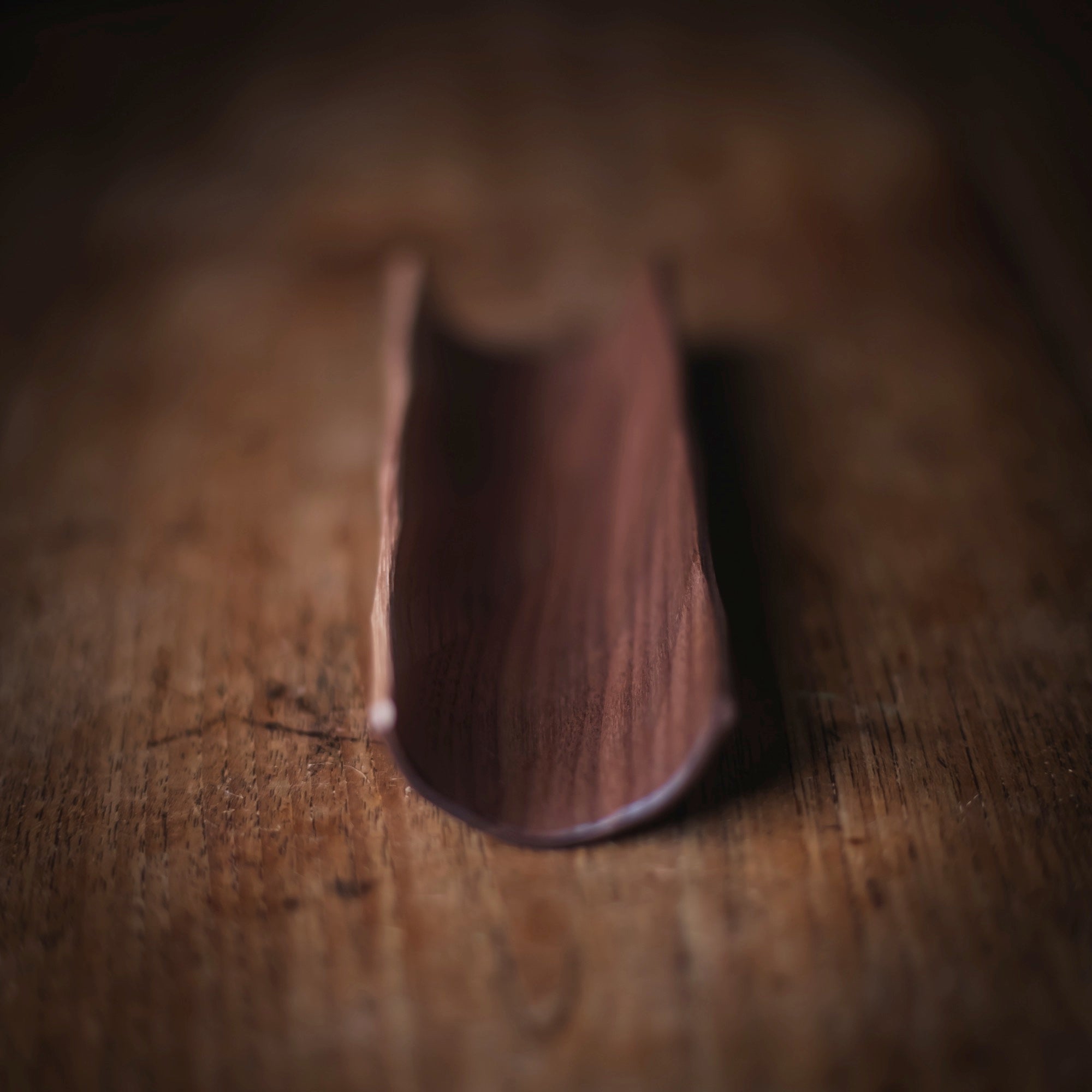 Walnut Scoop #603 (view 2)