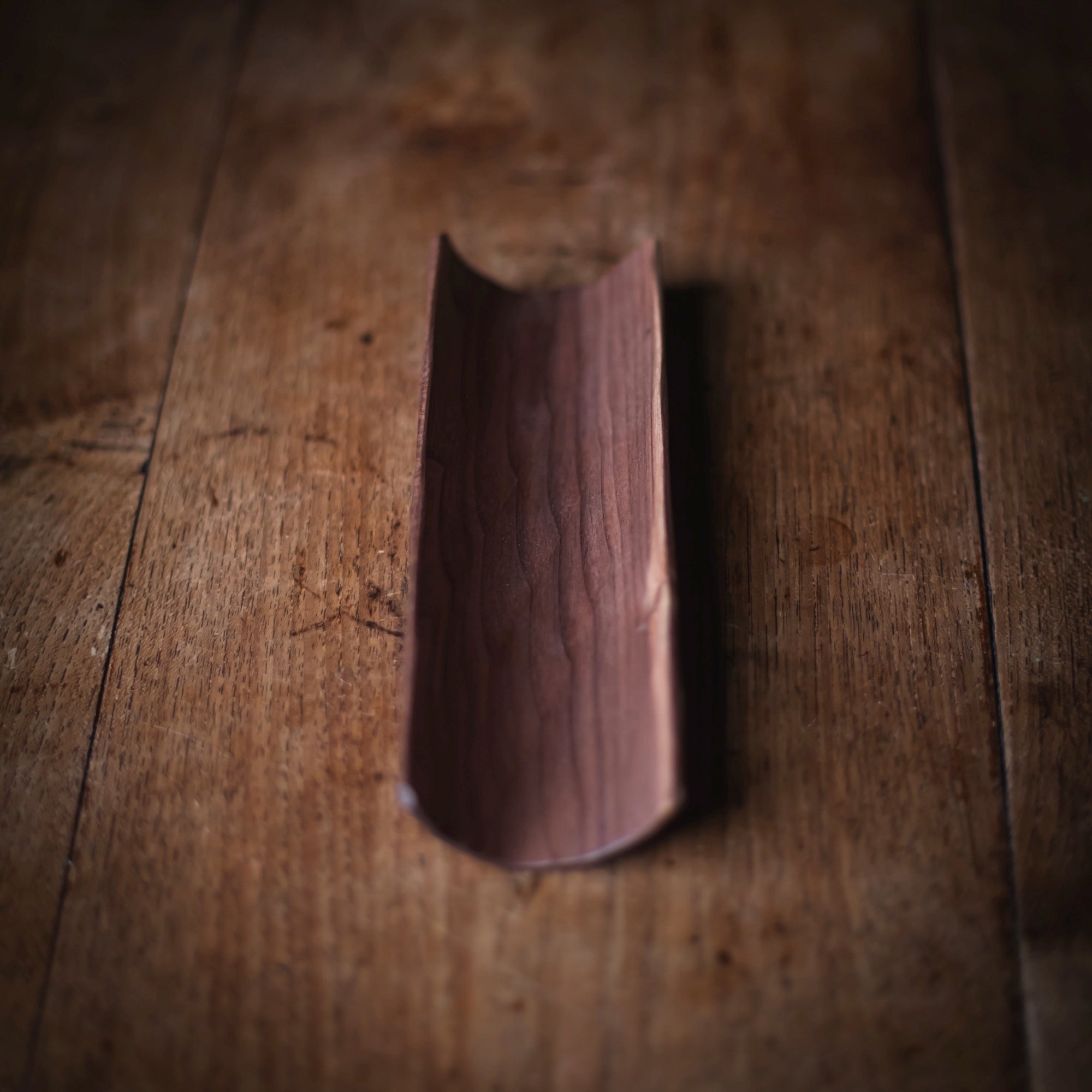 Walnut Scoop #611